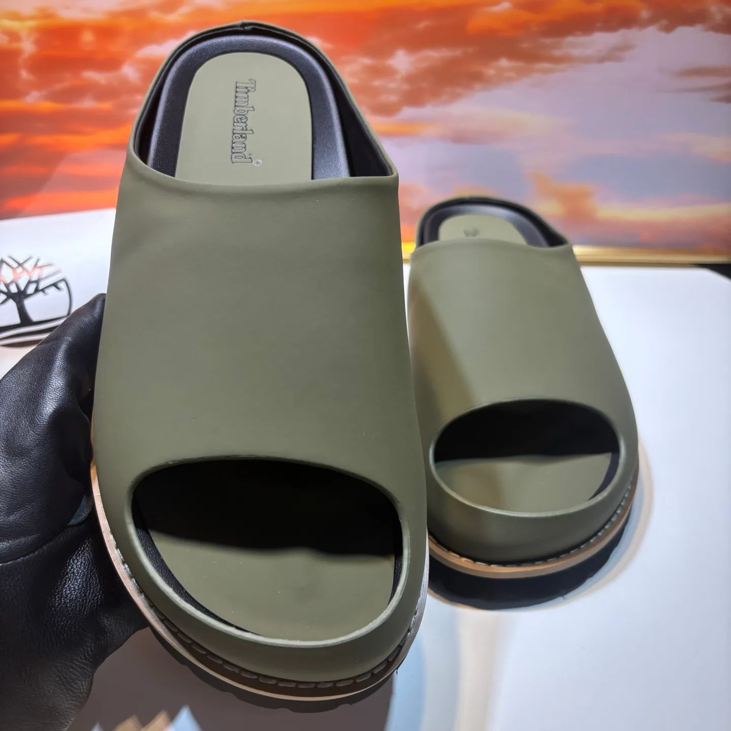 Men's Flip-Flops TIMBERLAND 17955630