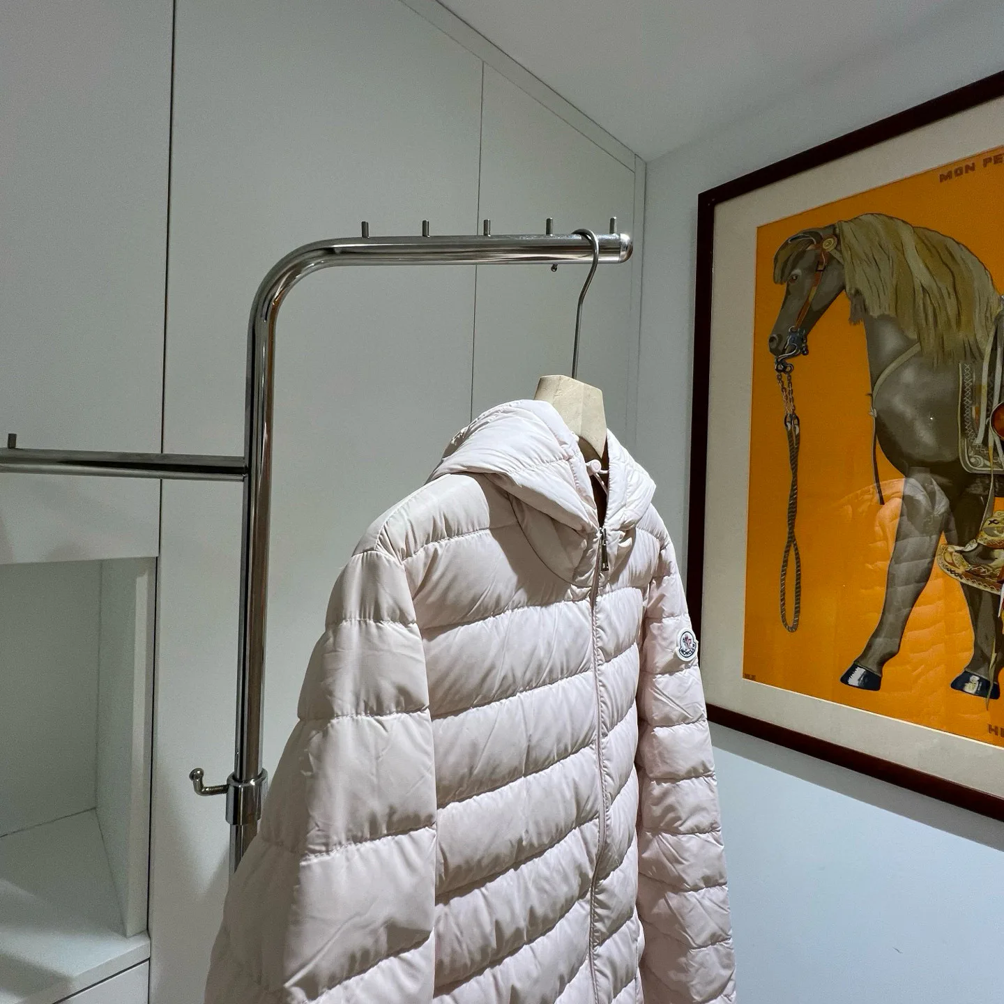 Women's Jackets And Down Jackets MONCLER 18180099