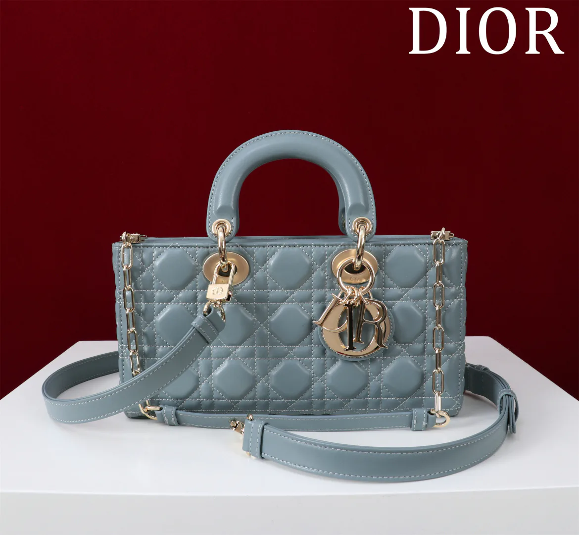 Women's Classic Handbags CHRISTIAN DIOR 18393001
