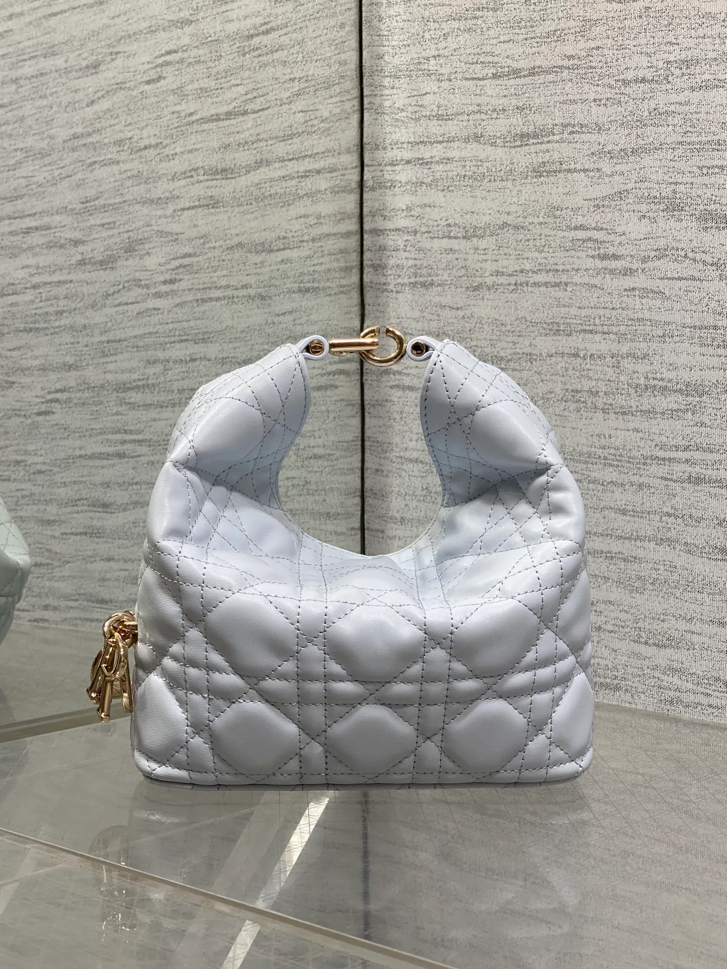 Women's Classic Handbags CHRISTIAN DIOR 17830925