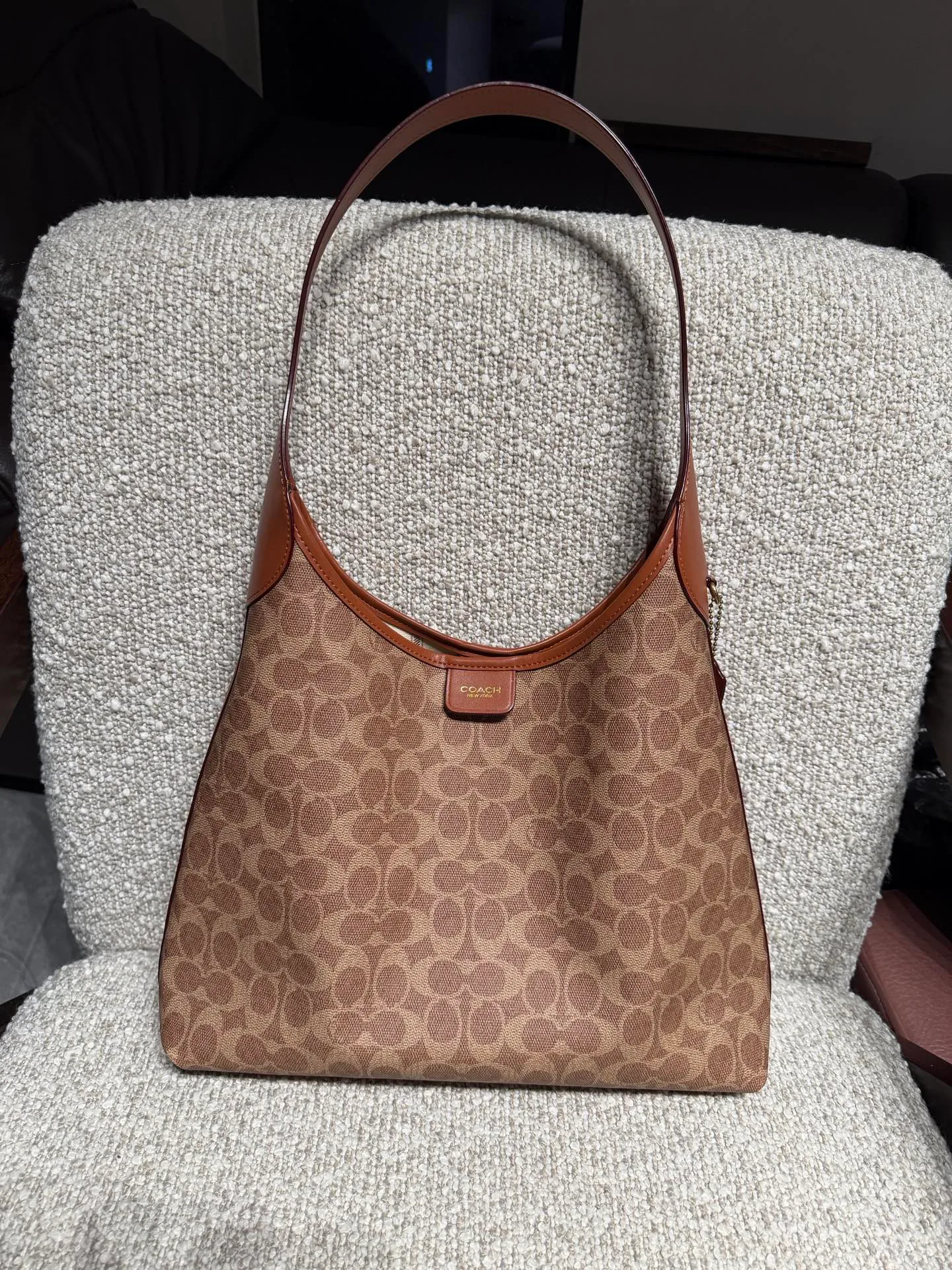 Women's Classic Handbags COACH 17873073