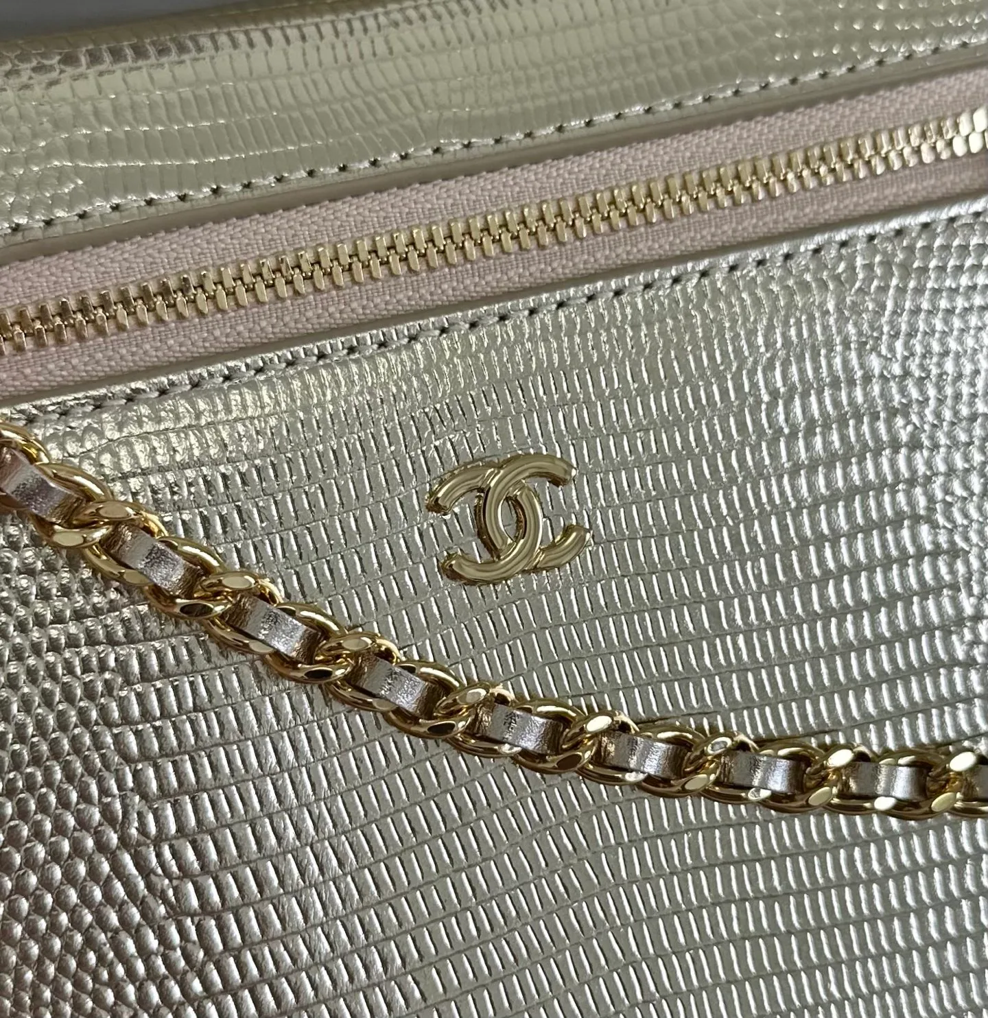Women's Classic Handbags CHANEL 18338039