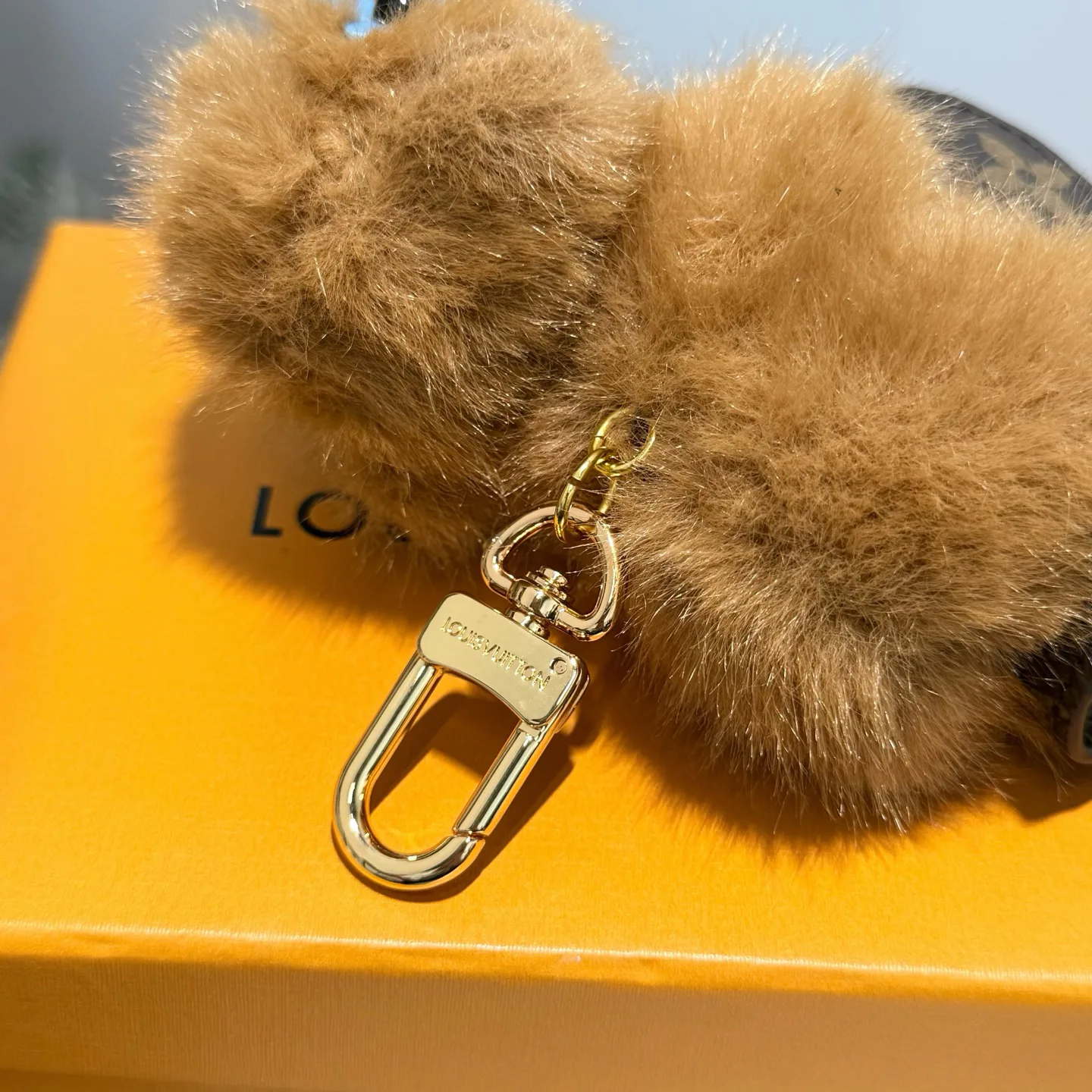 Key Cases LOUIS VUITTON 17886412