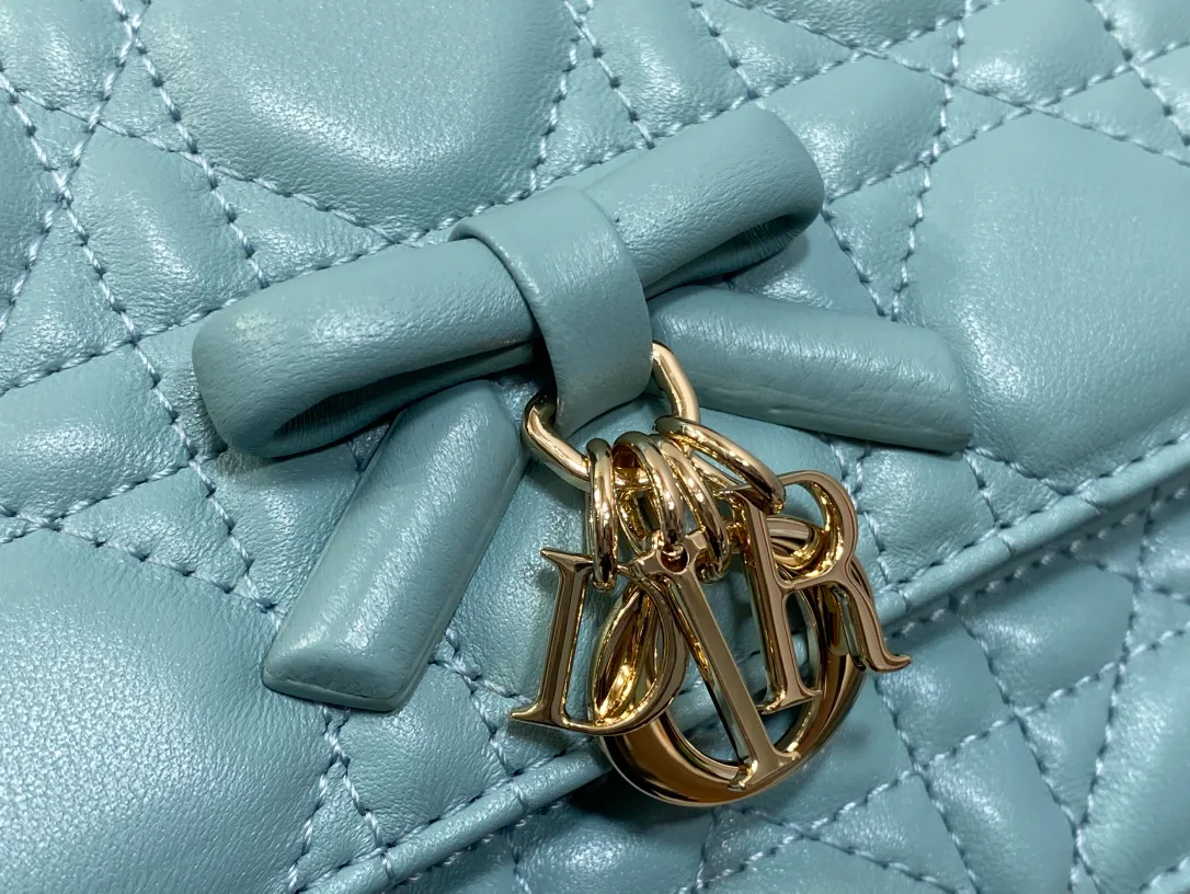 Women's Clutches CHRISTIAN DIOR 17320724