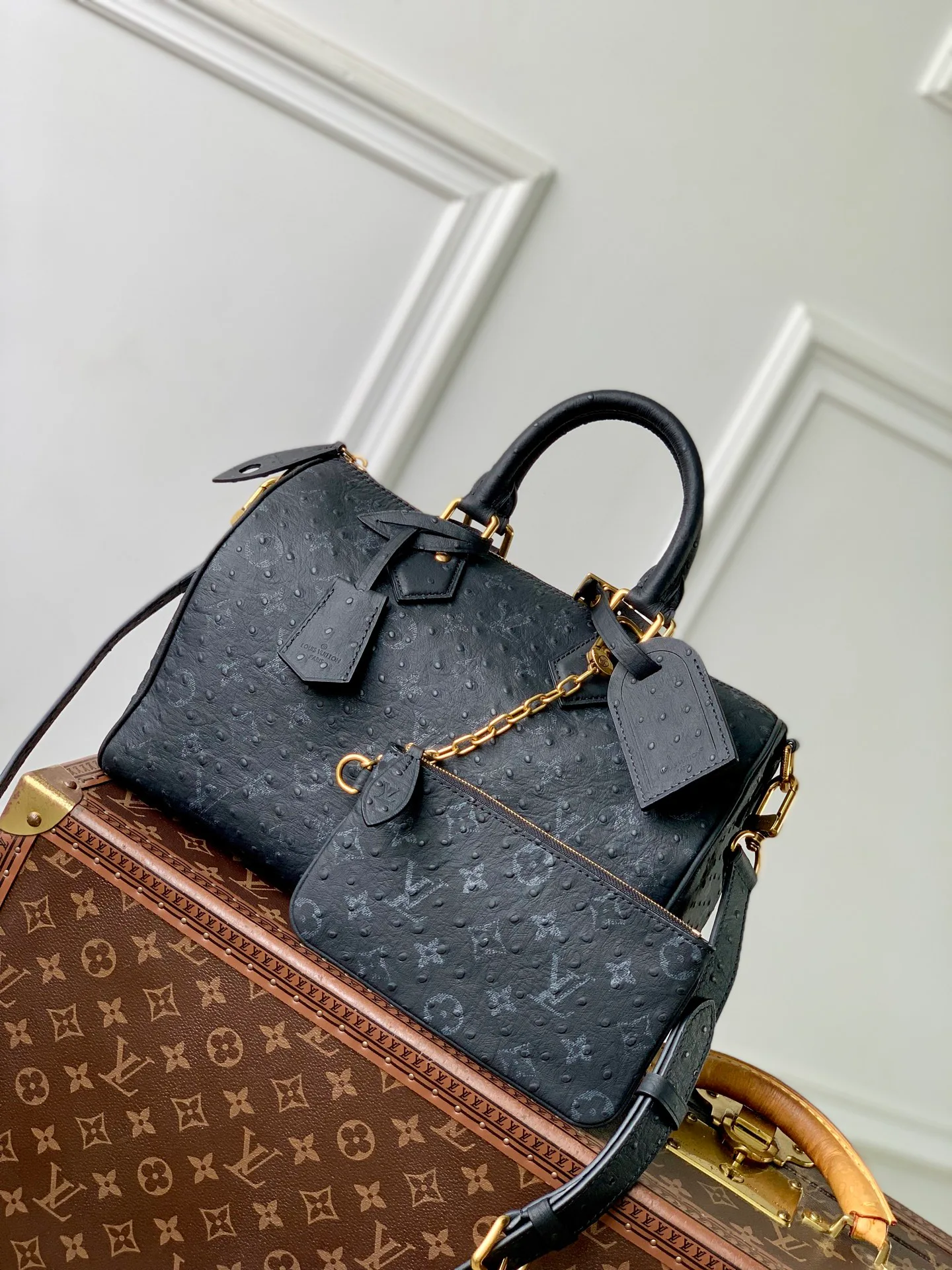 Women's Classic Handbags LOUIS VUITTON 18147440