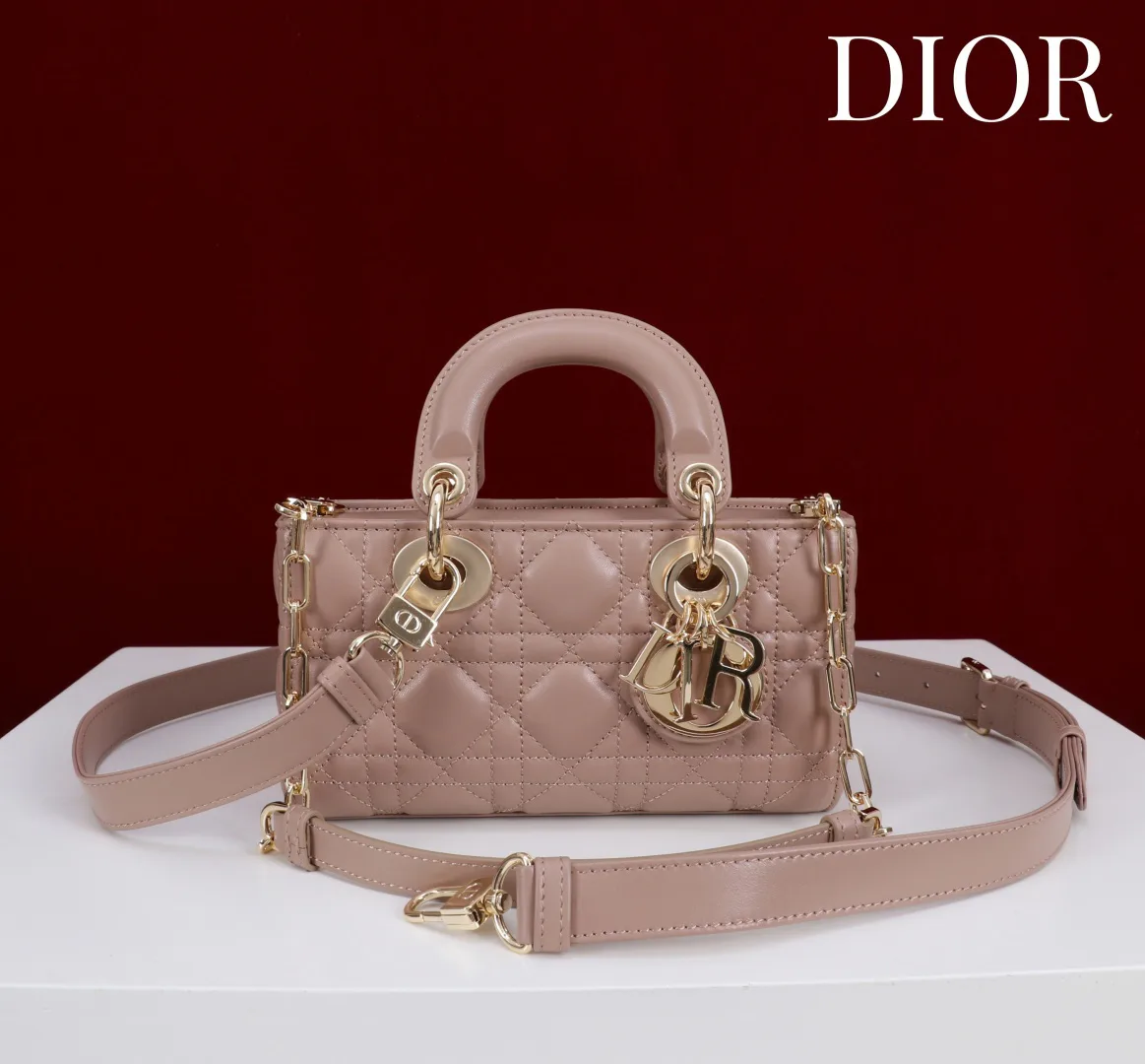 Women's Classic Handbags CHRISTIAN DIOR 18393034