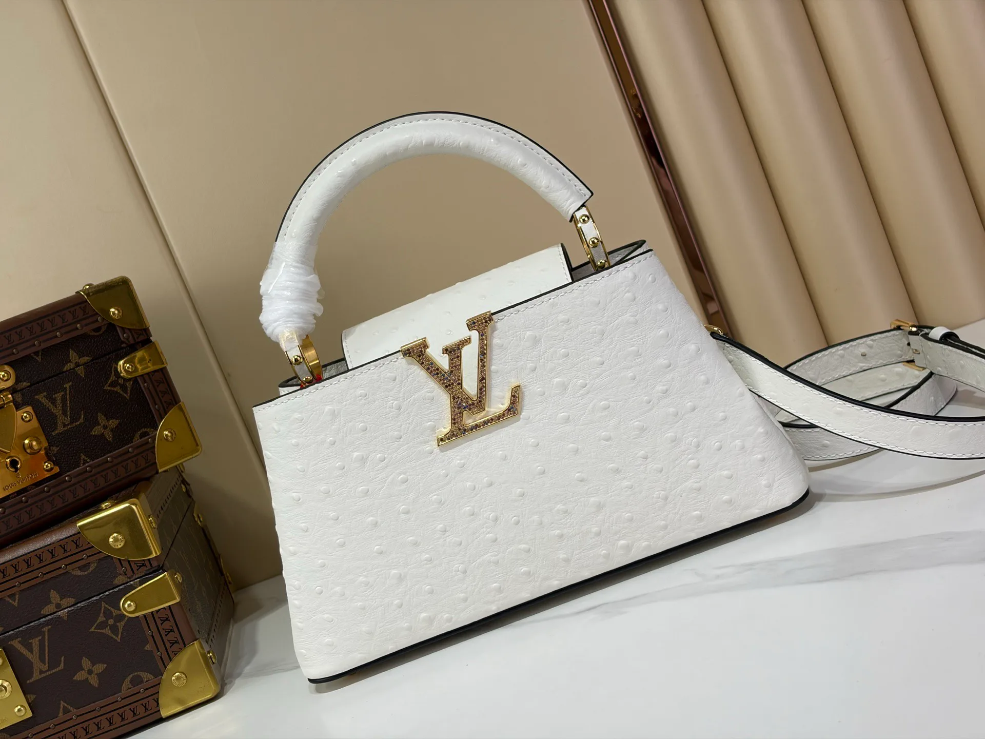 Women's Classic Handbags LOUIS VUITTON 18491316