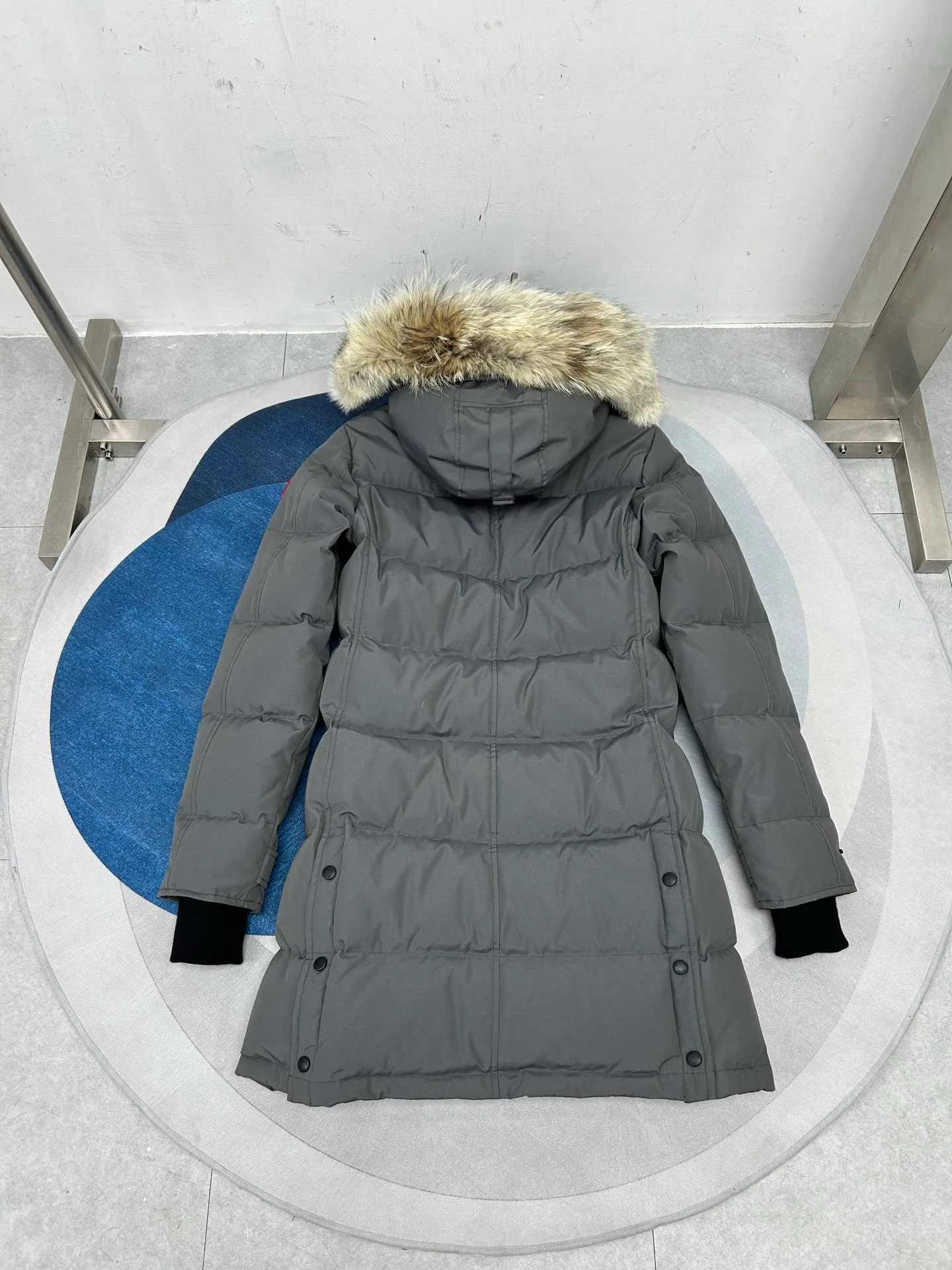 Women's Jackets And Down Jackets CANADA GOOSE 18188605