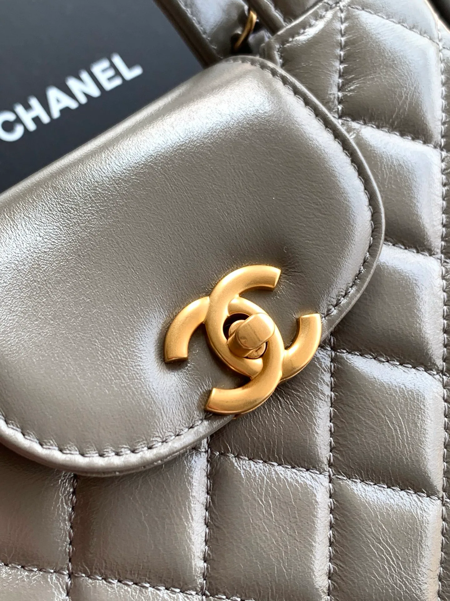 Women's Classic Handbags CHANEL 17498579