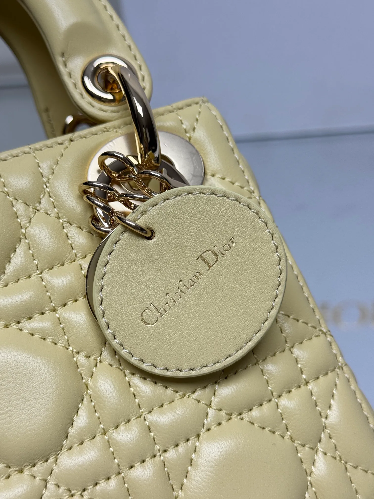 Women's Classic Handbags CHRISTIAN DIOR 17601467