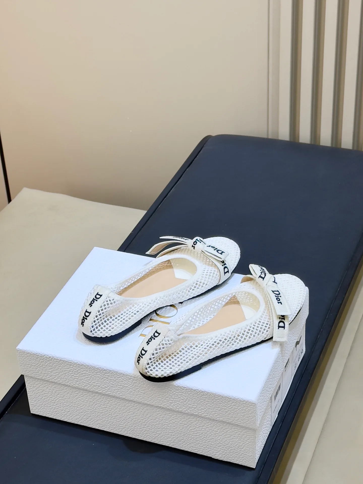 Women's Ballet Flats CHRISTIAN DIOR 18073314
