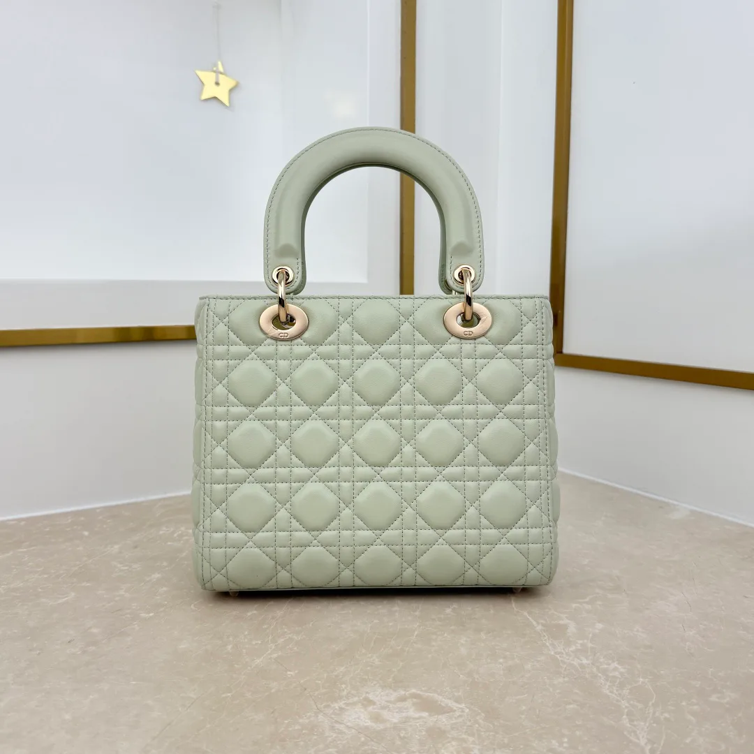 Women's Classic Handbags CHRISTIAN DIOR 17820255