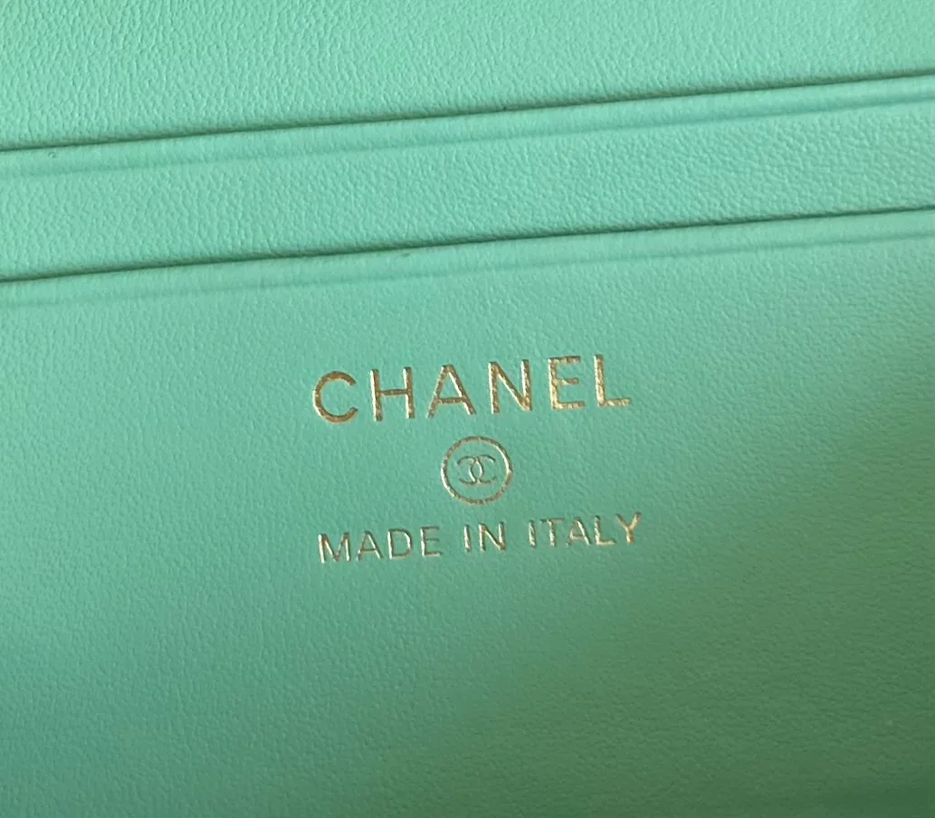 Women's Classic Handbags CHANEL 18338098