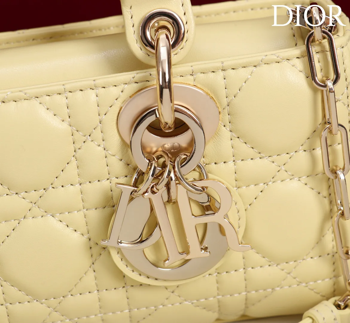 Women's Classic Handbags CHRISTIAN DIOR 18392967