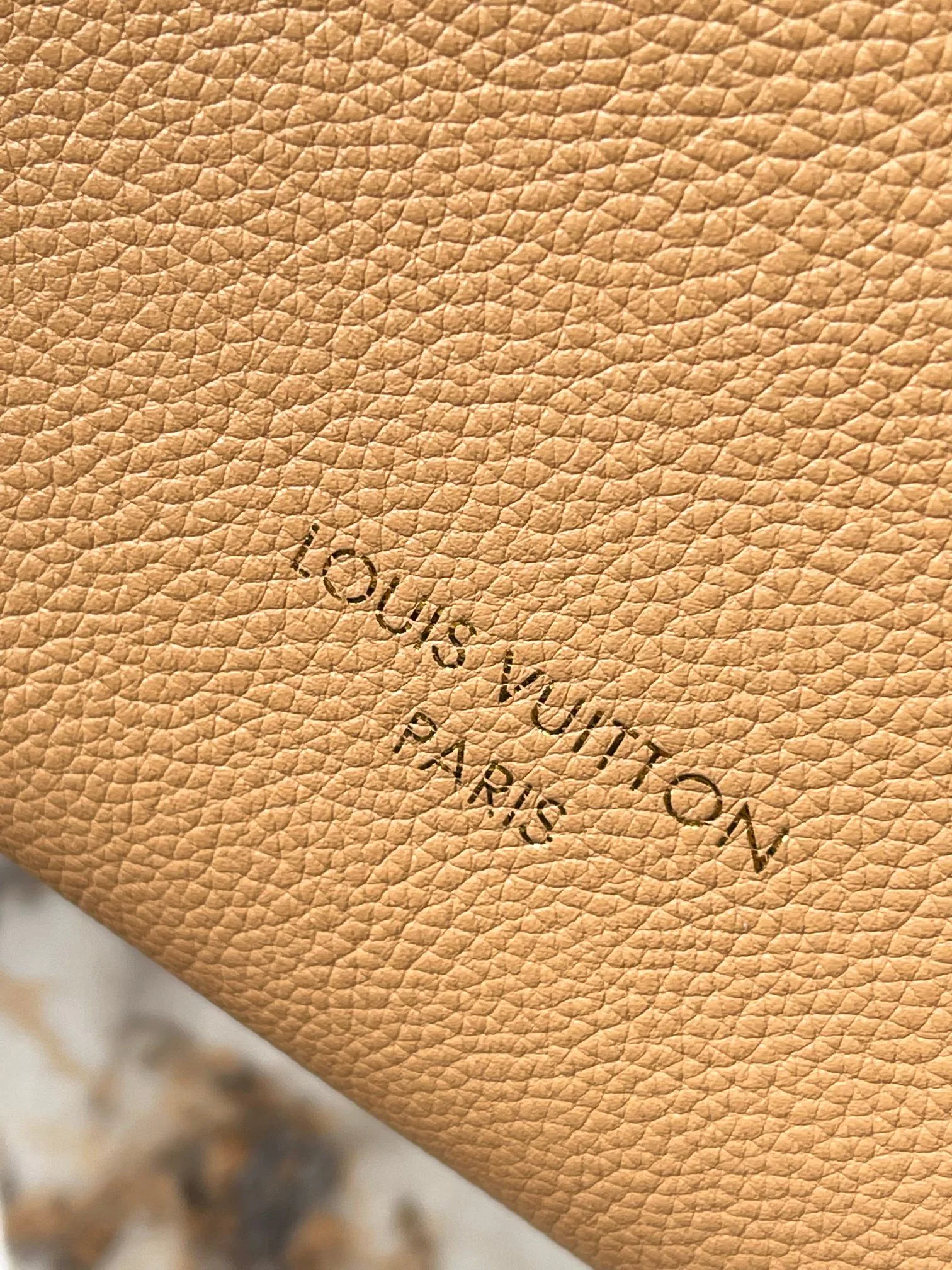 Women's Classic Handbags LOUIS VUITTON 18521048