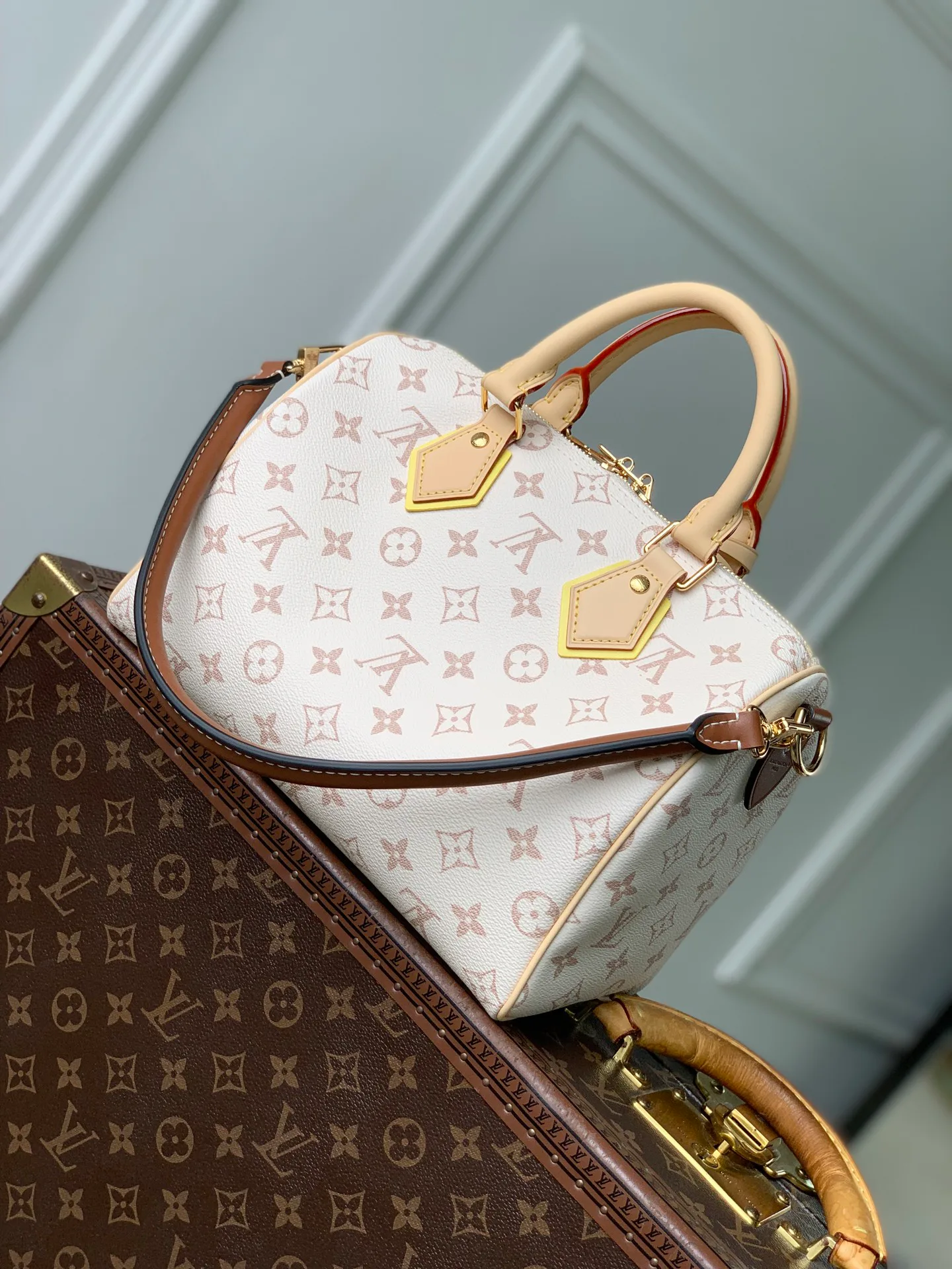 Women's Classic Handbags LOUIS VUITTON 18412607