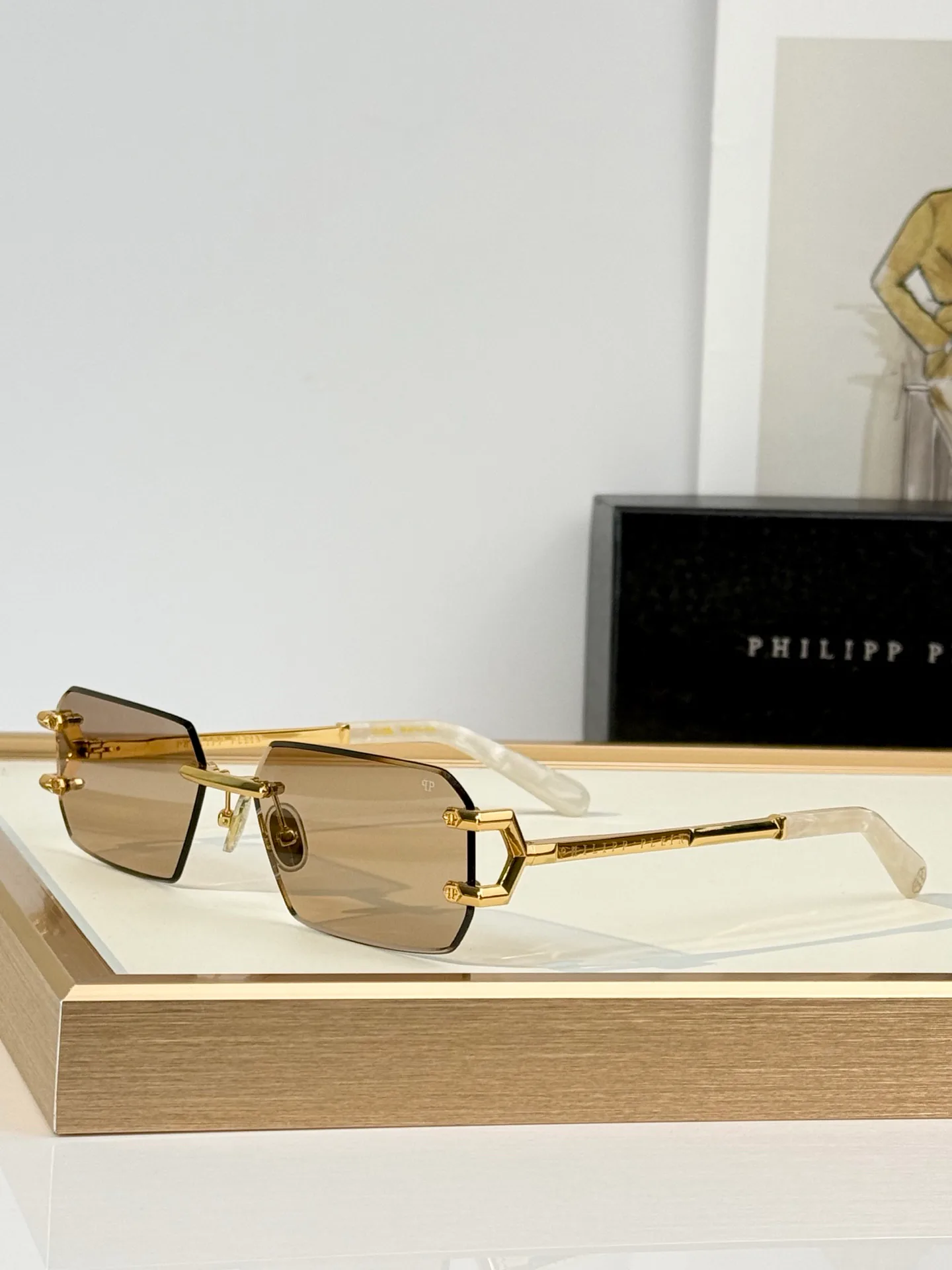 Glasses PHILIPP PLEIN 18350373