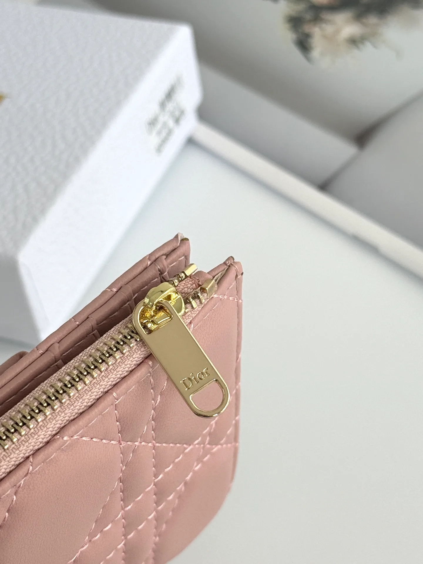 Women's Clutches CHRISTIAN DIOR 17447419