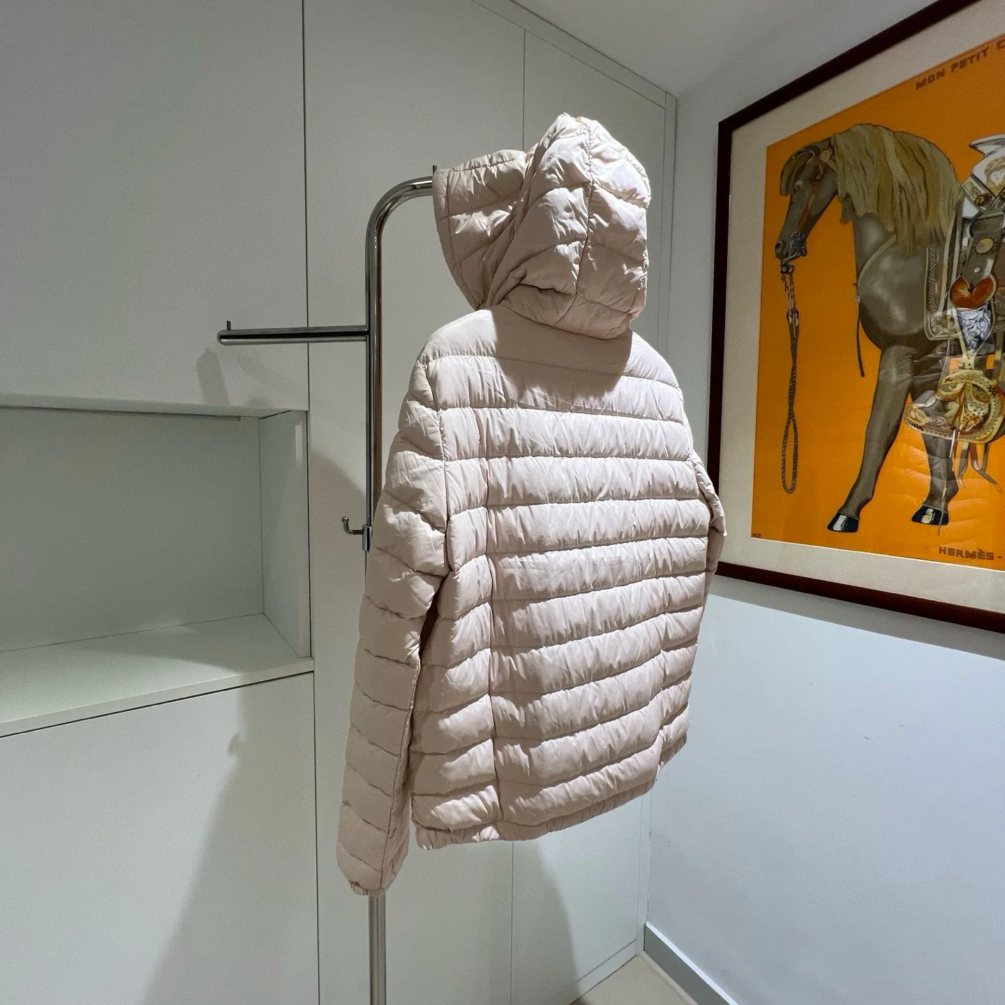 Women's Jackets And Down Jackets MONCLER 18180099