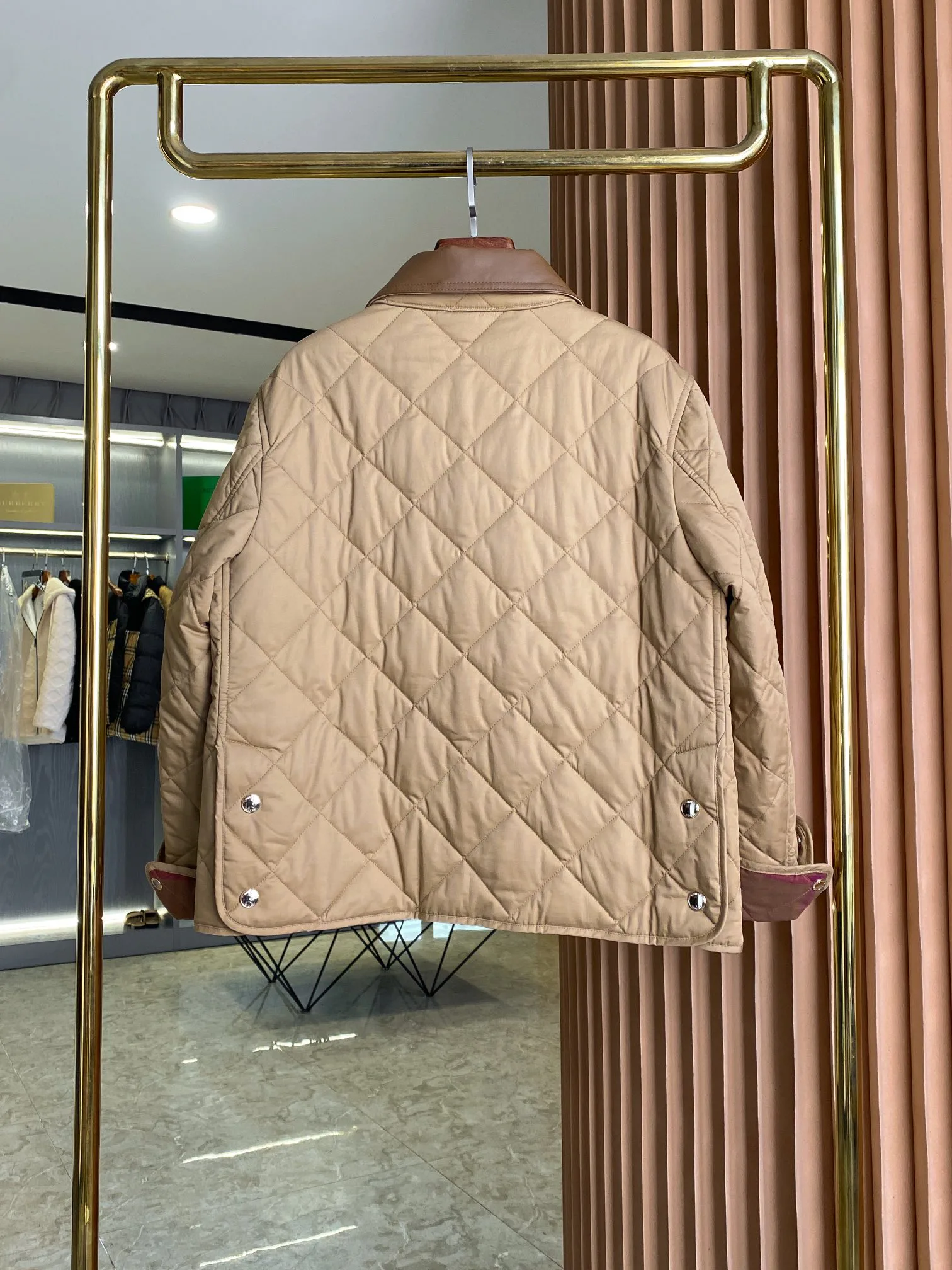 Women's Jackets And Down Jackets BURBERRY 17998761