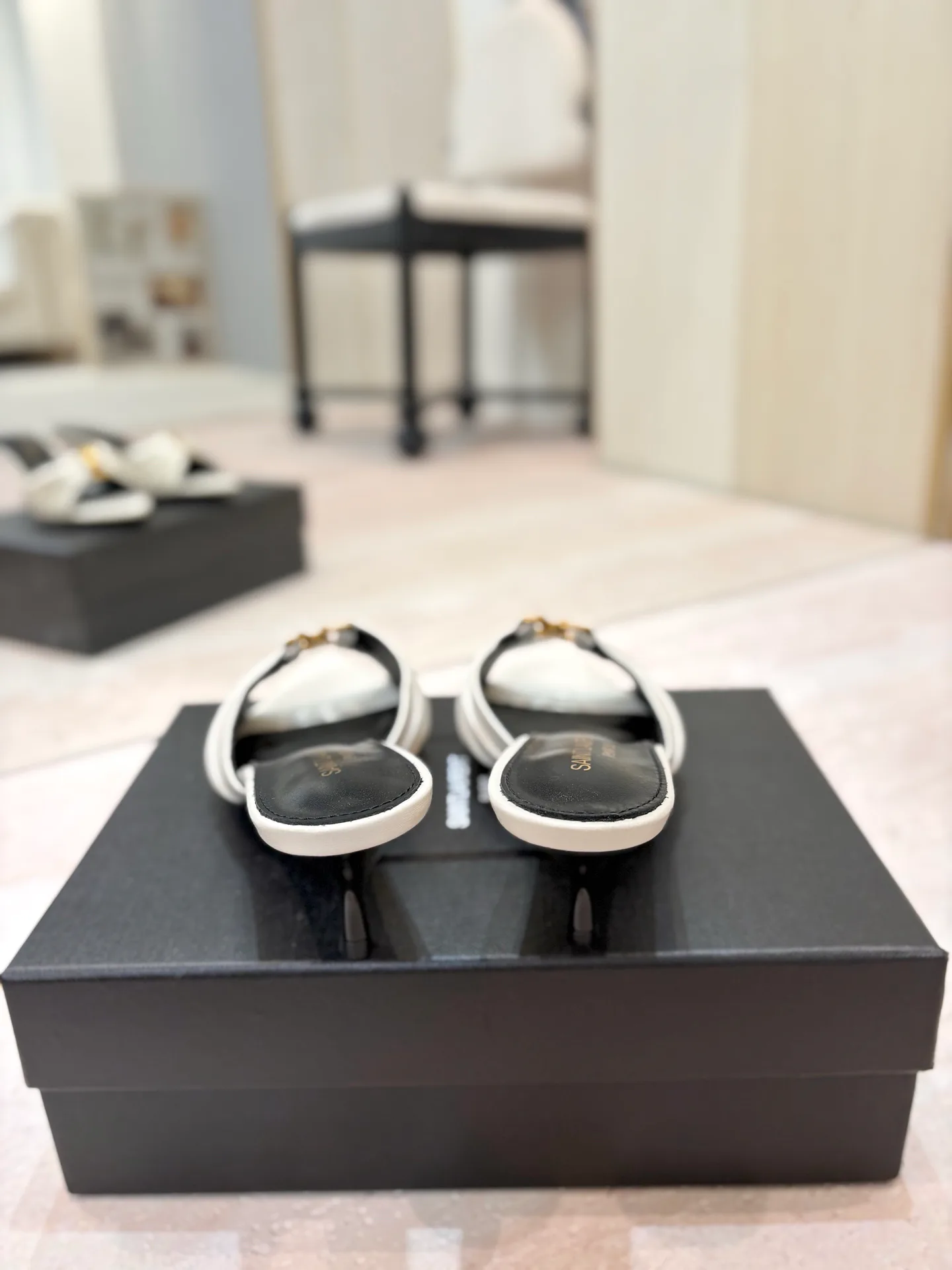 Women's Mules And Clogs SAINT LAURENT 17476034