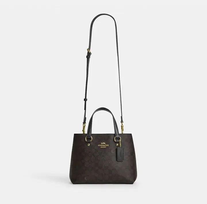 Women's Classic Handbags COACH 17960953