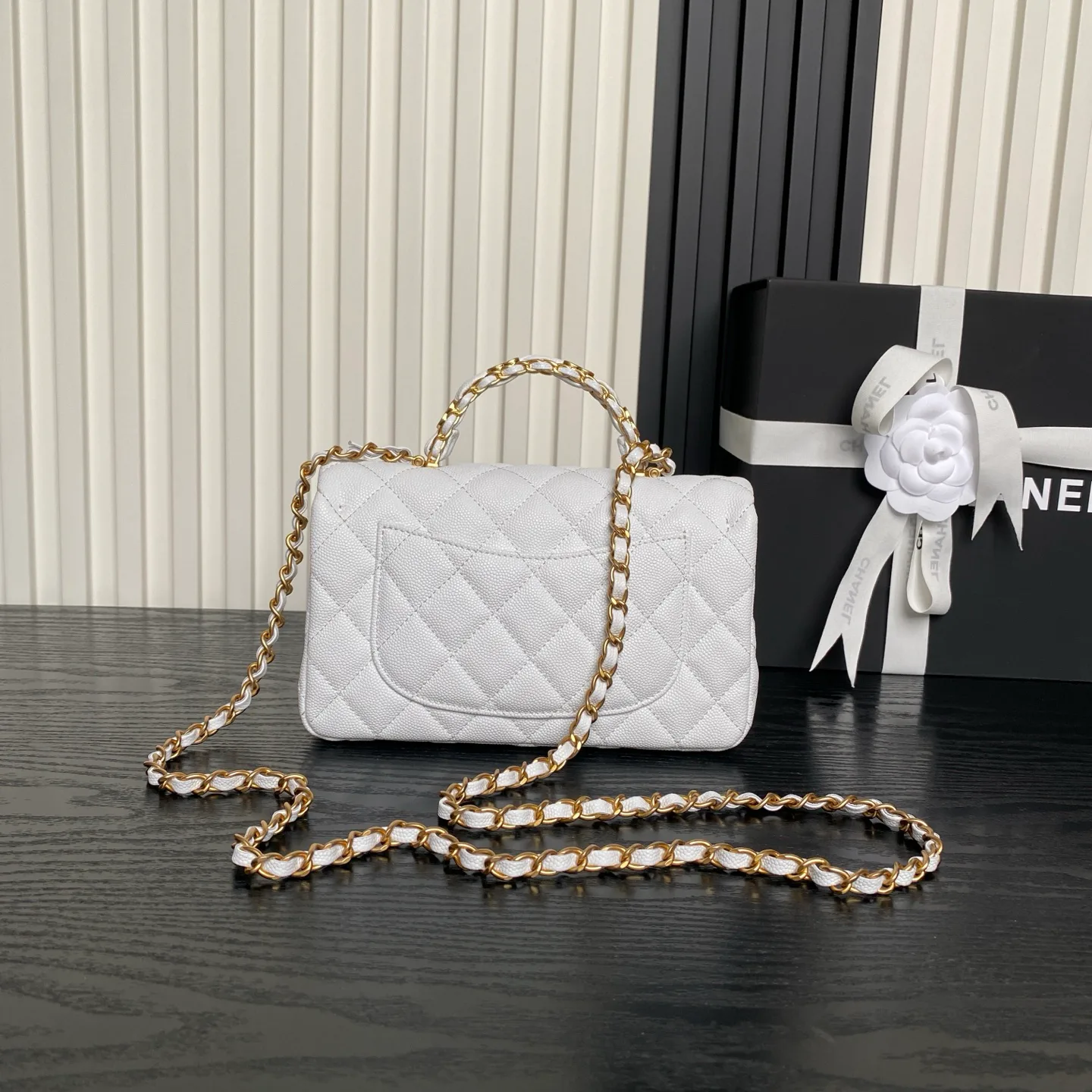 Women's Classic Handbags CHANEL 17364563