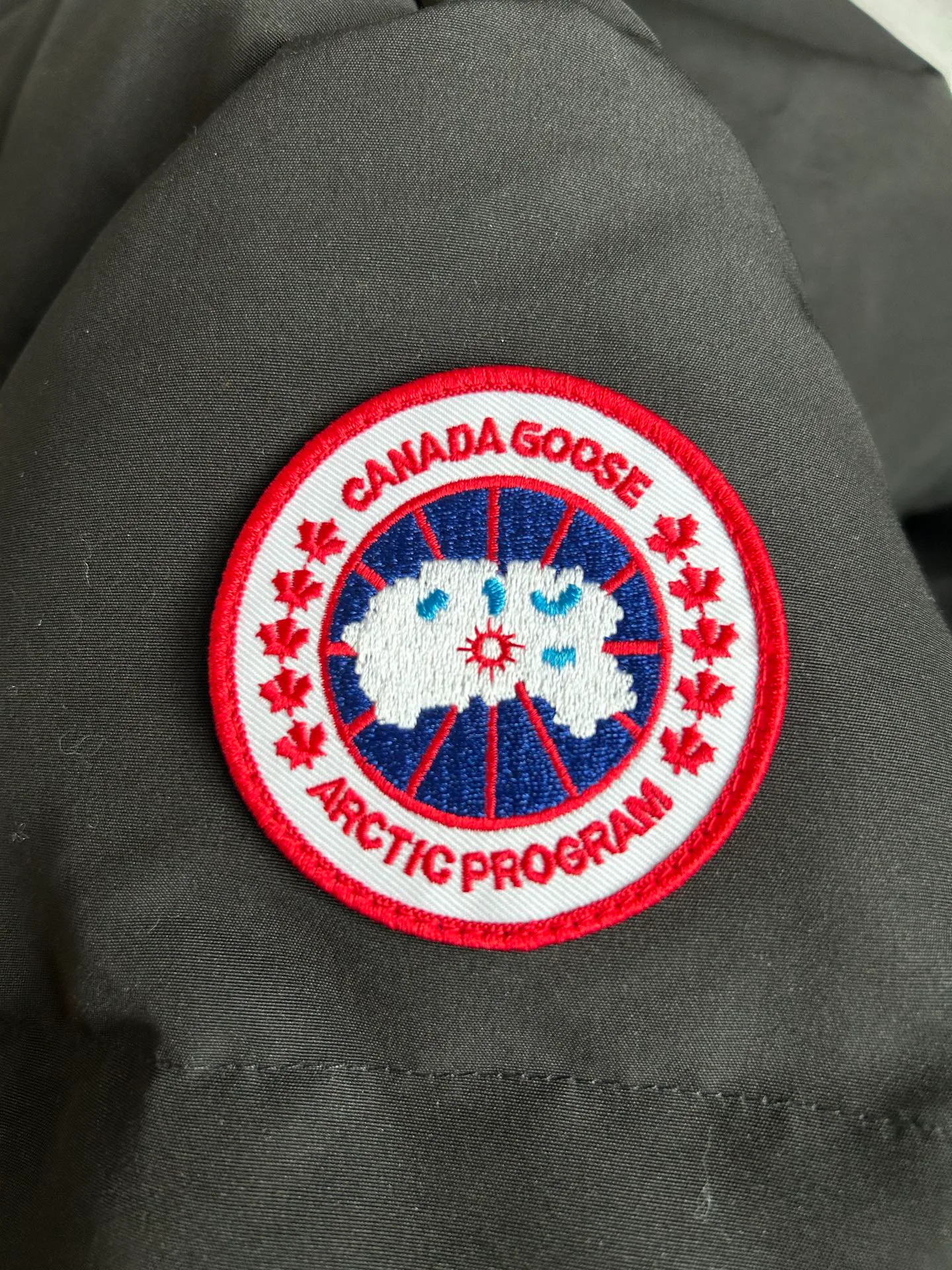 Men's Jackets And Down Jackets CANADA GOOSE 18007333