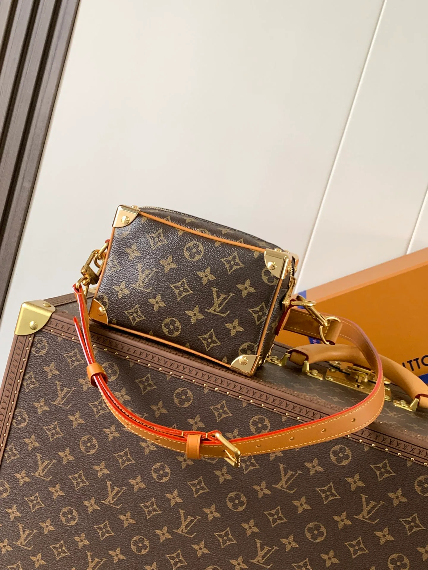 Классические Сумки Женские Louis Vuitton 18664399