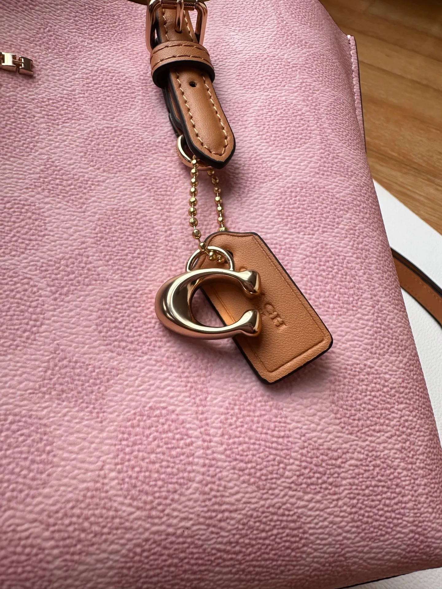 Women's Classic Handbags COACH 17961062
