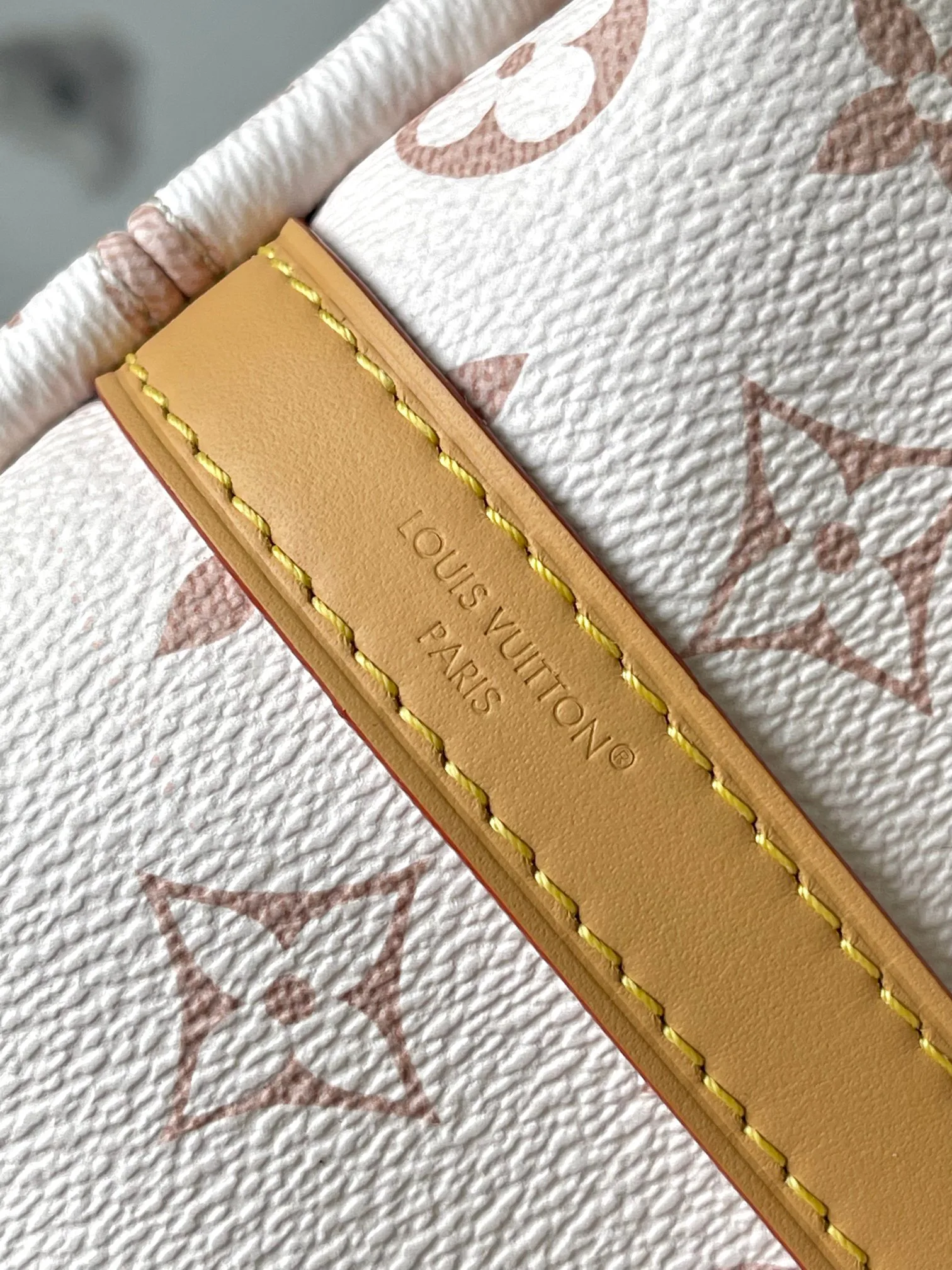 Women's Classic Handbags LOUIS VUITTON 18521088