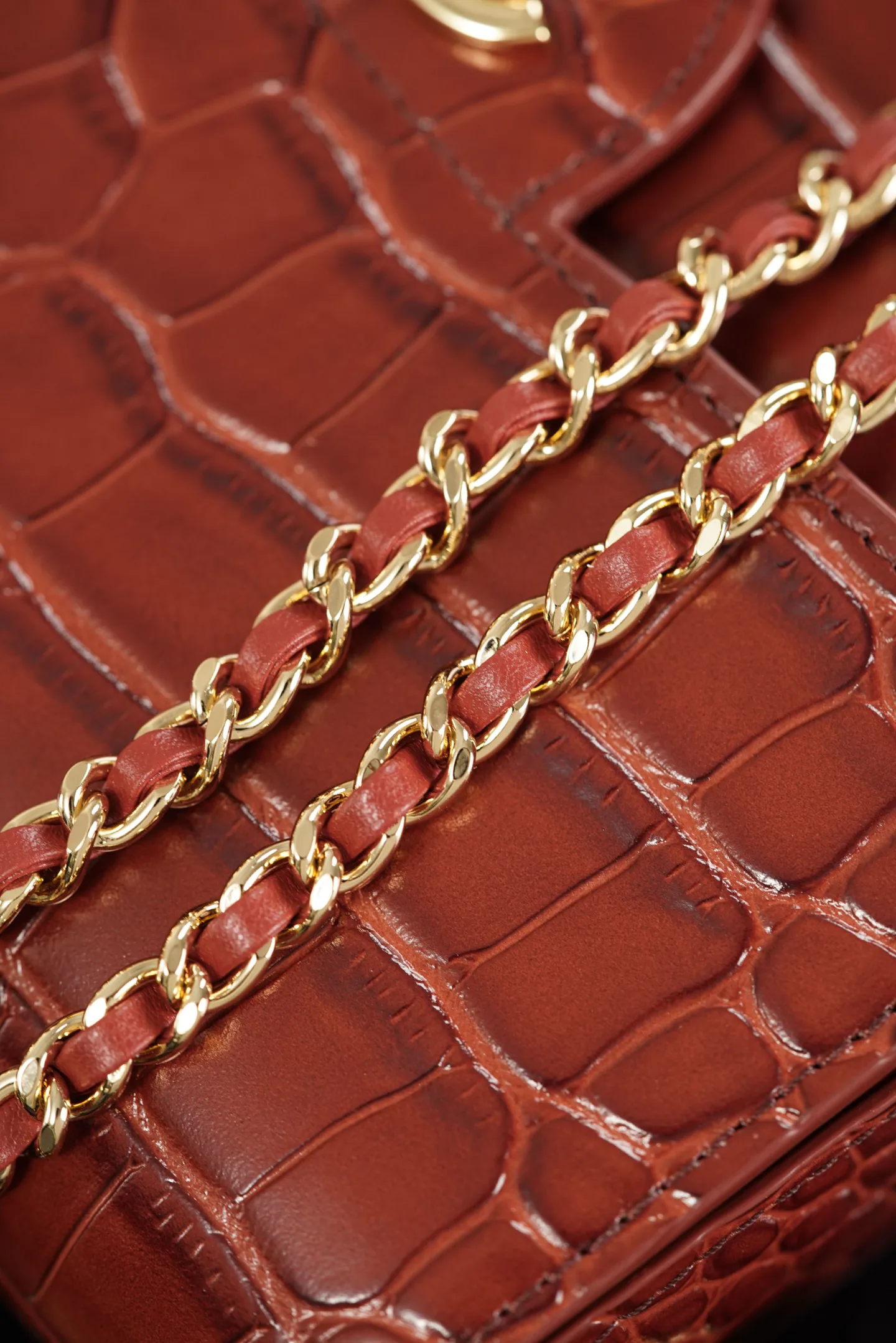 Women's Classic Handbags CHANEL 17979623