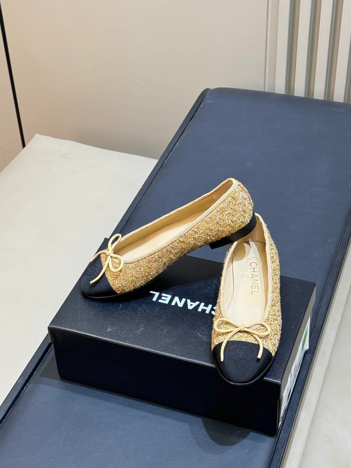 Women's Ballet Flats CHANEL 17498843