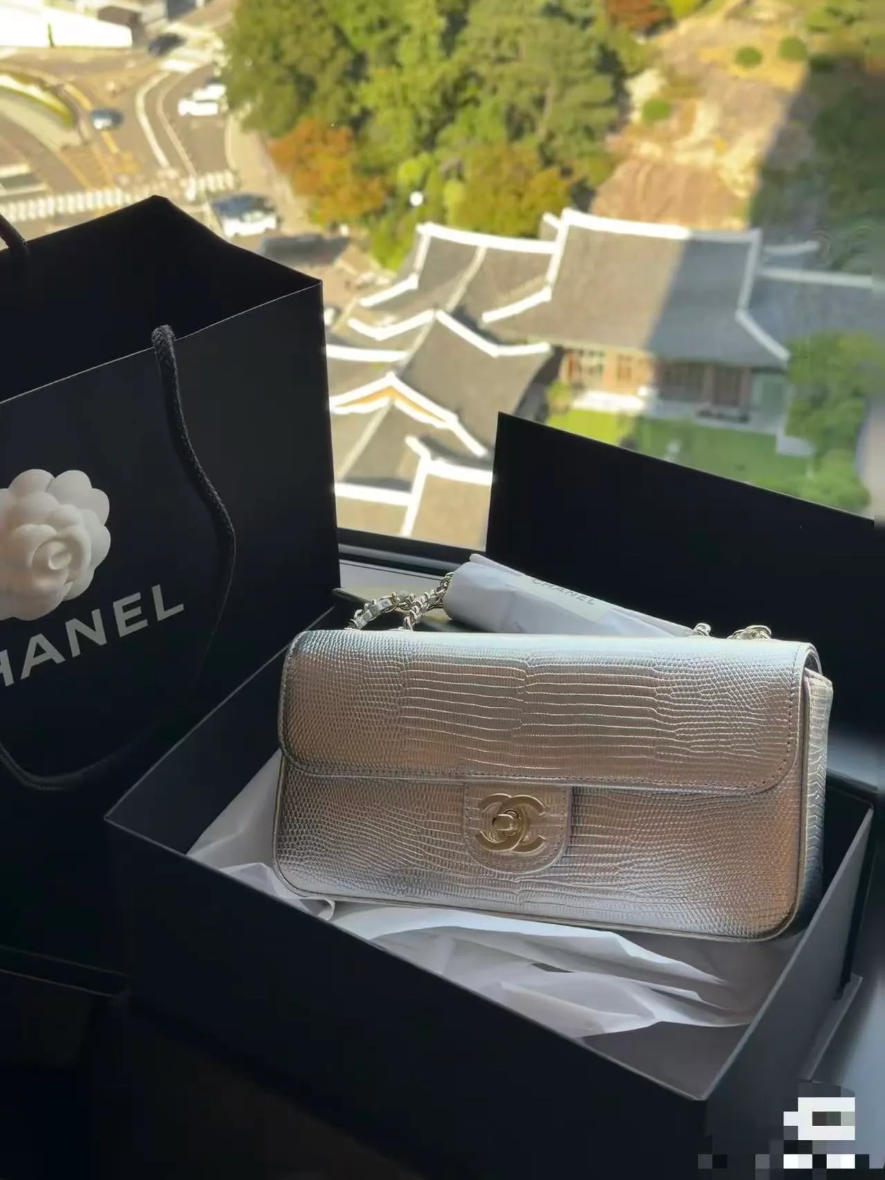 Women's Classic Handbags CHANEL 18238949