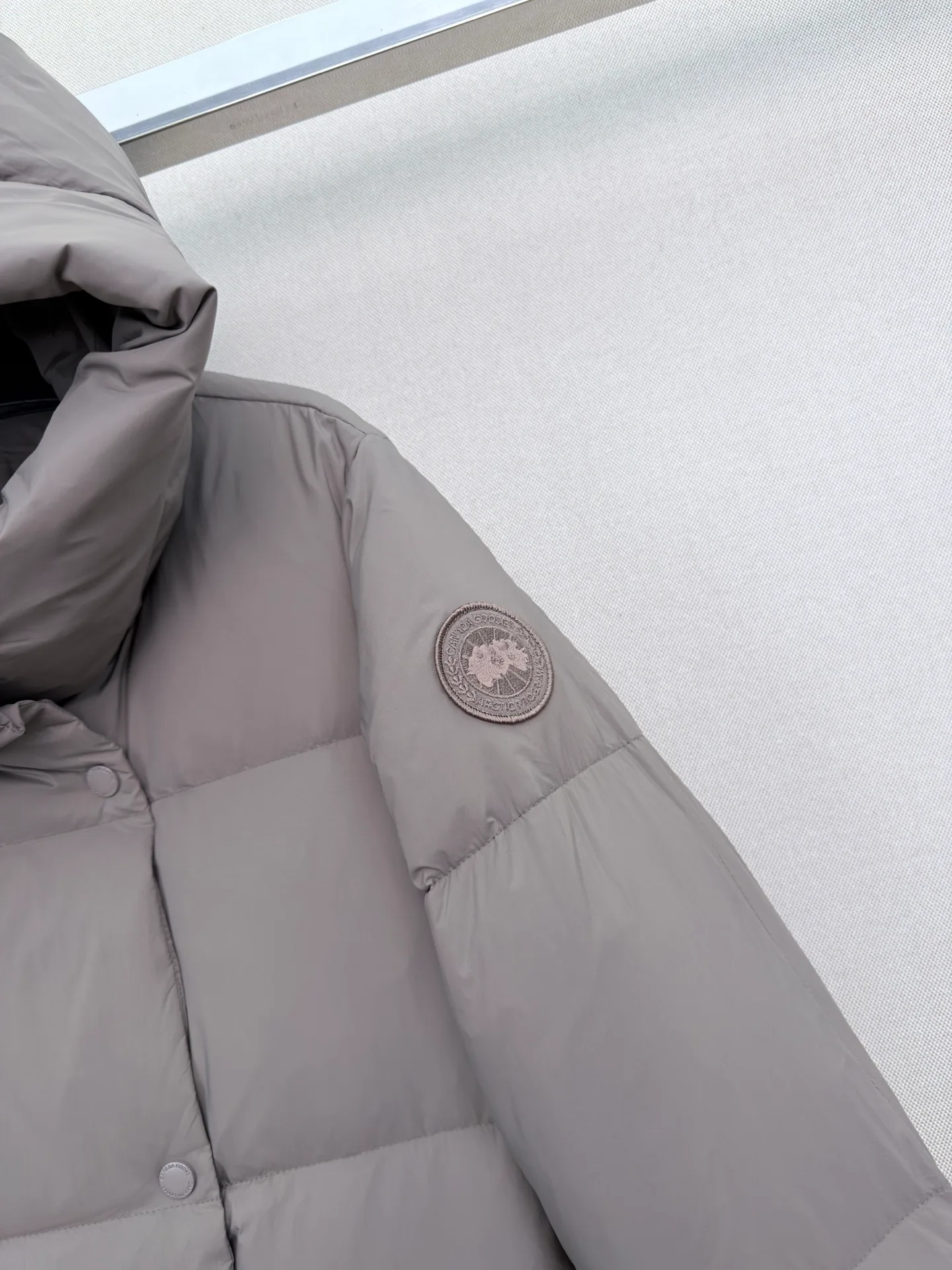 Women's Jackets And Down Jackets CANADA GOOSE 18056332