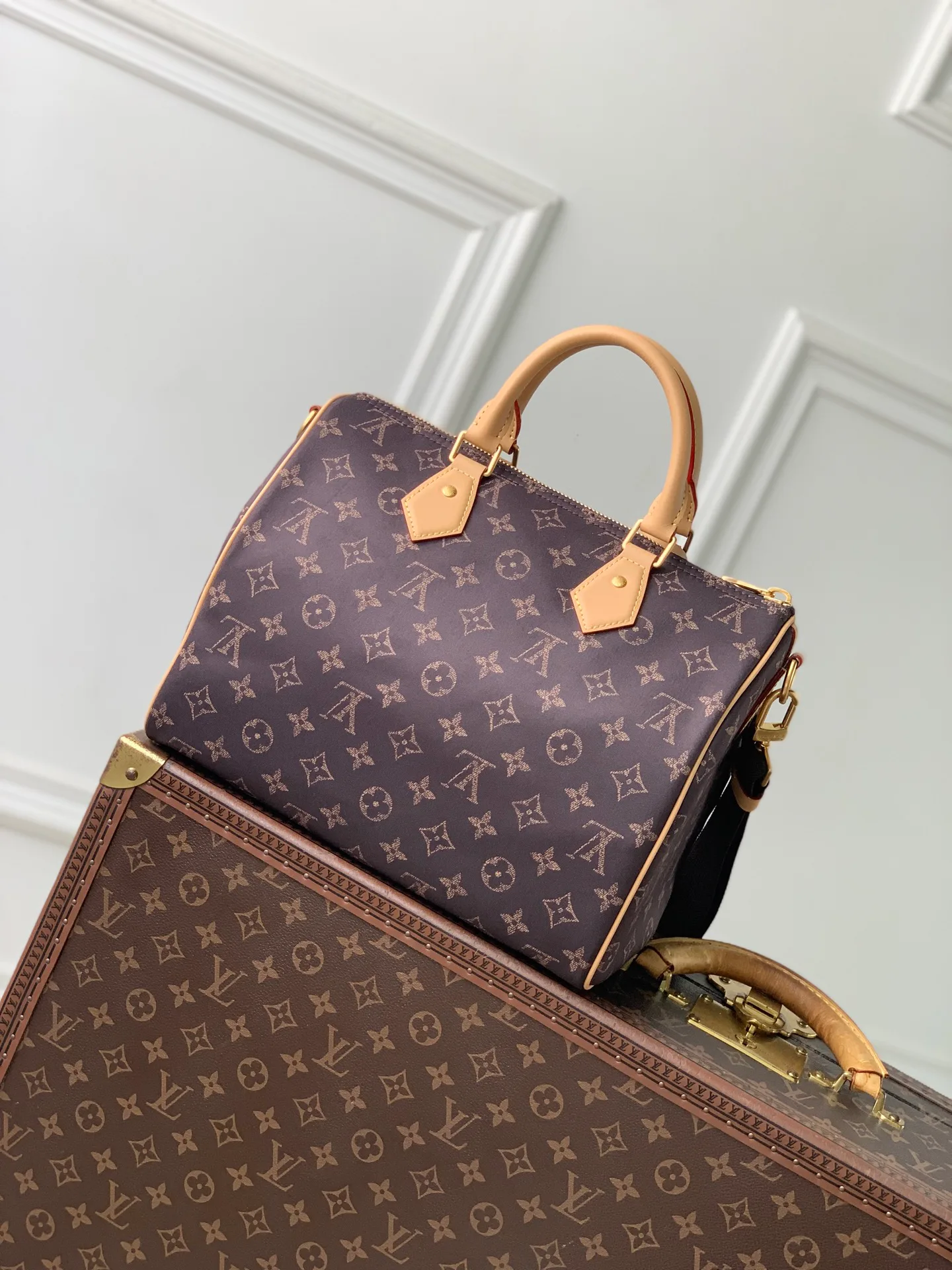 Women's Classic Handbags LOUIS VUITTON 18147469
