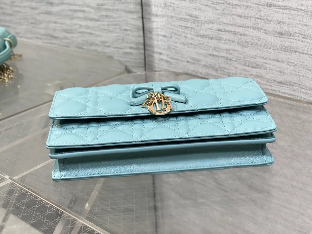 Women's Clutches CHRISTIAN DIOR 17320724