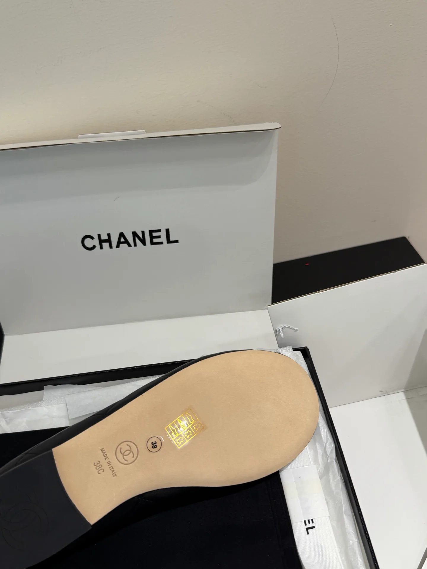 Women's Ballet Flats CHANEL 18363596