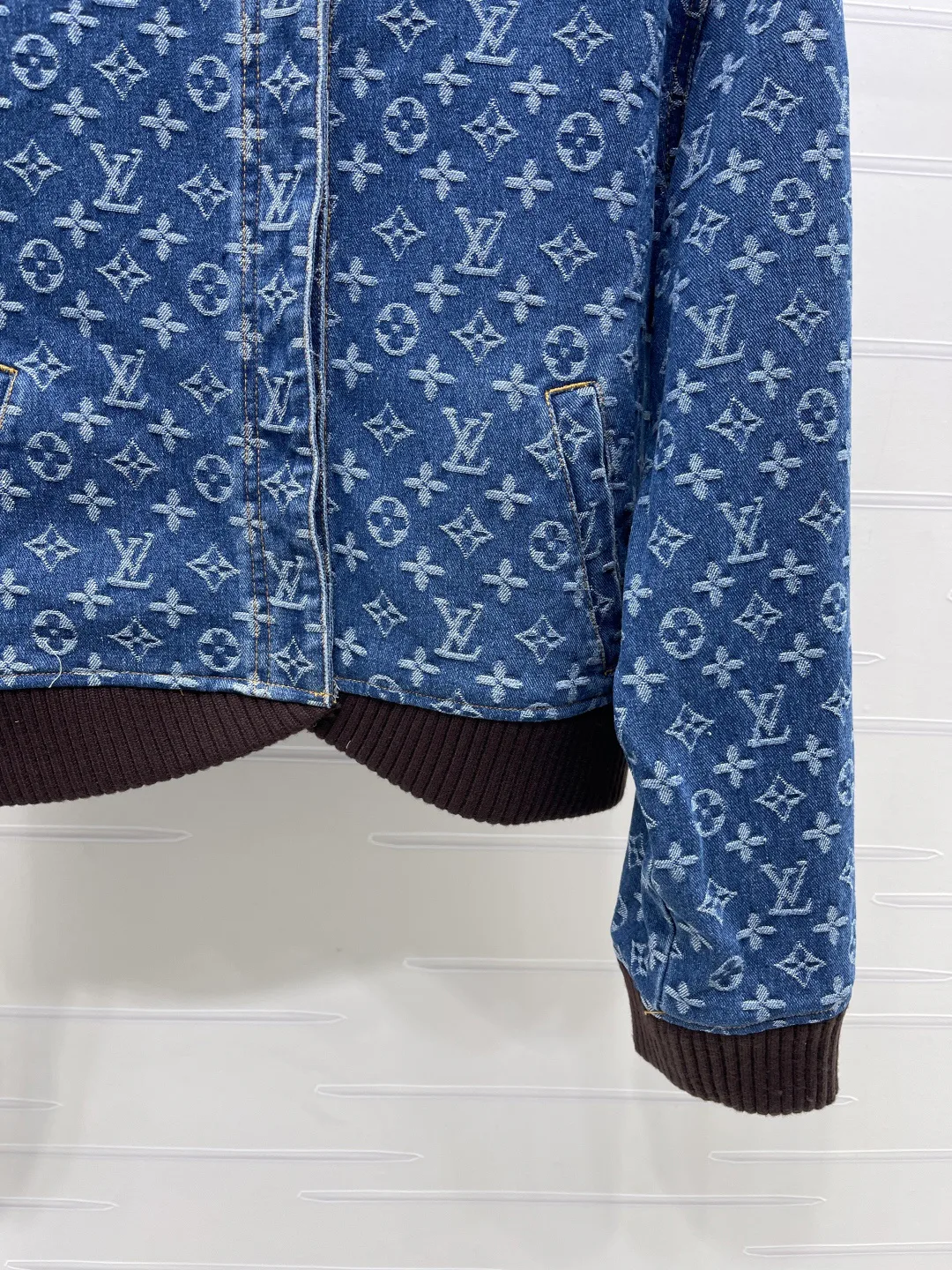 Women's Jackets And Down Jackets LOUIS VUITTON 18437137