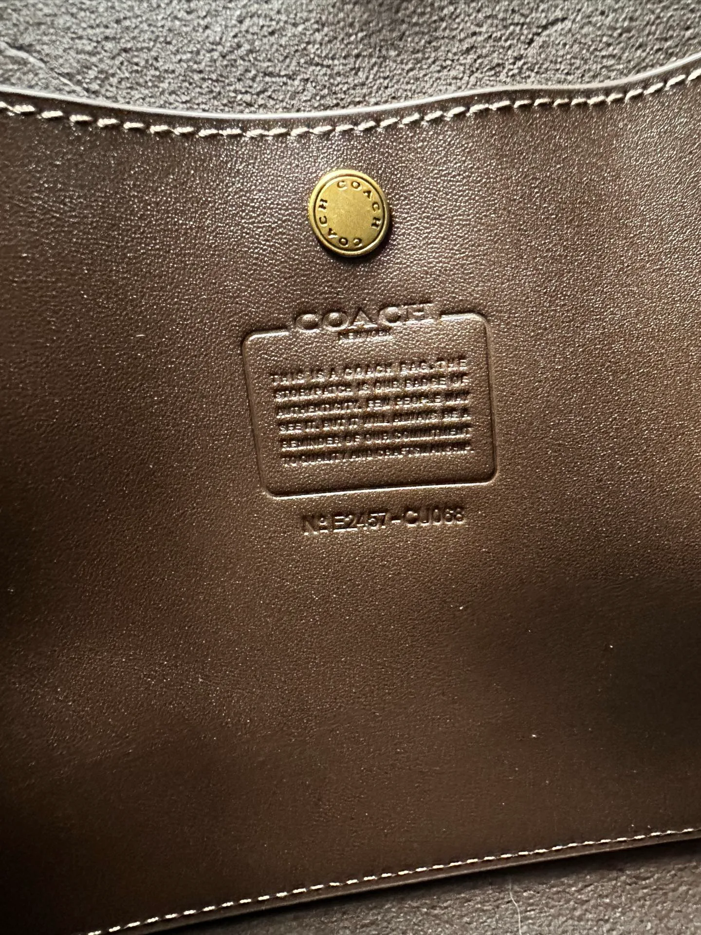 Women's Classic Handbags COACH 18365020