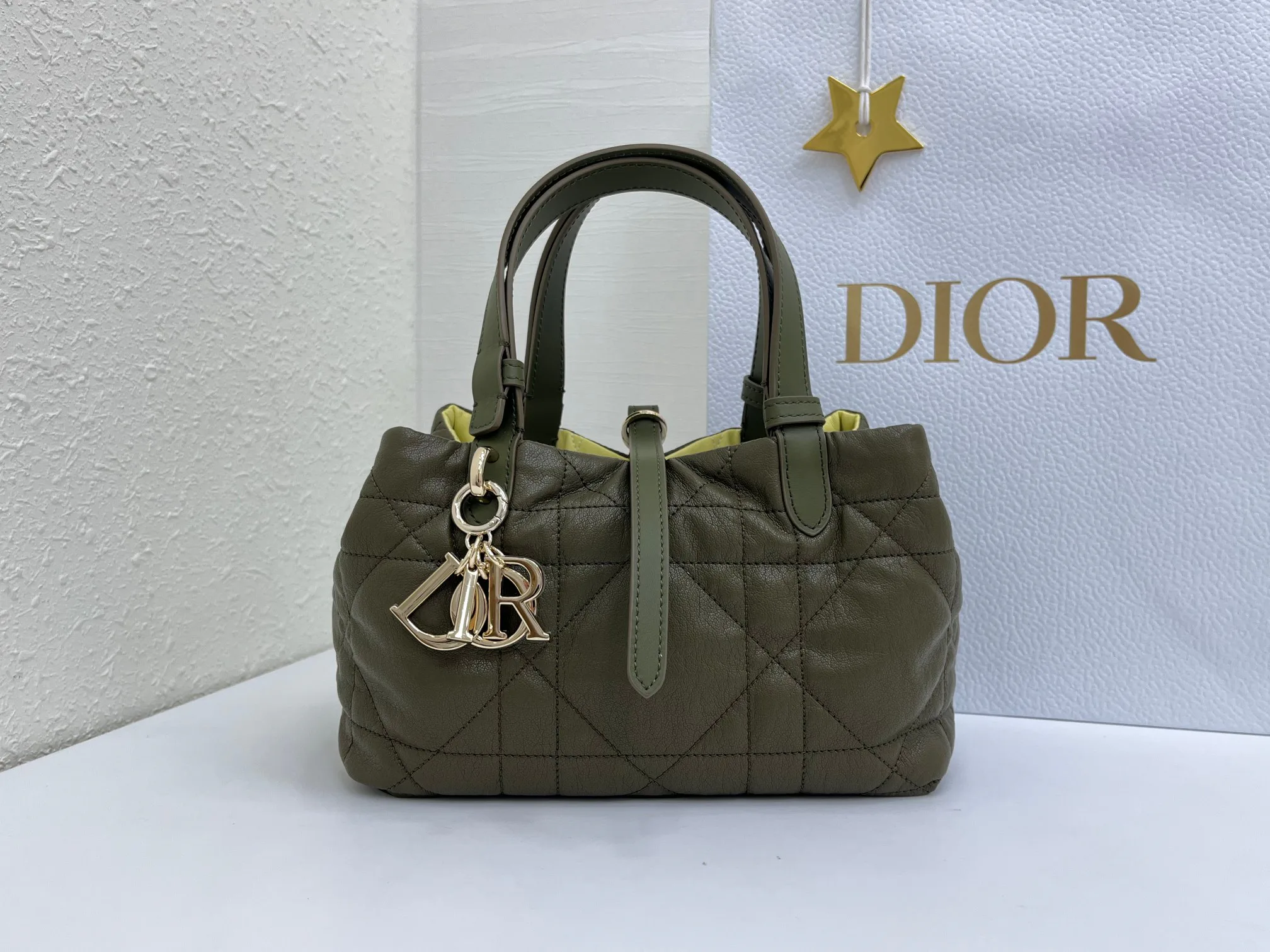 Women's Classic Handbags CHRISTIAN DIOR 17407083
