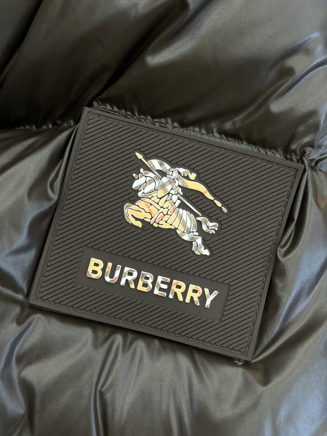 Куртки И Пуховики Мужские Burberry 18558938