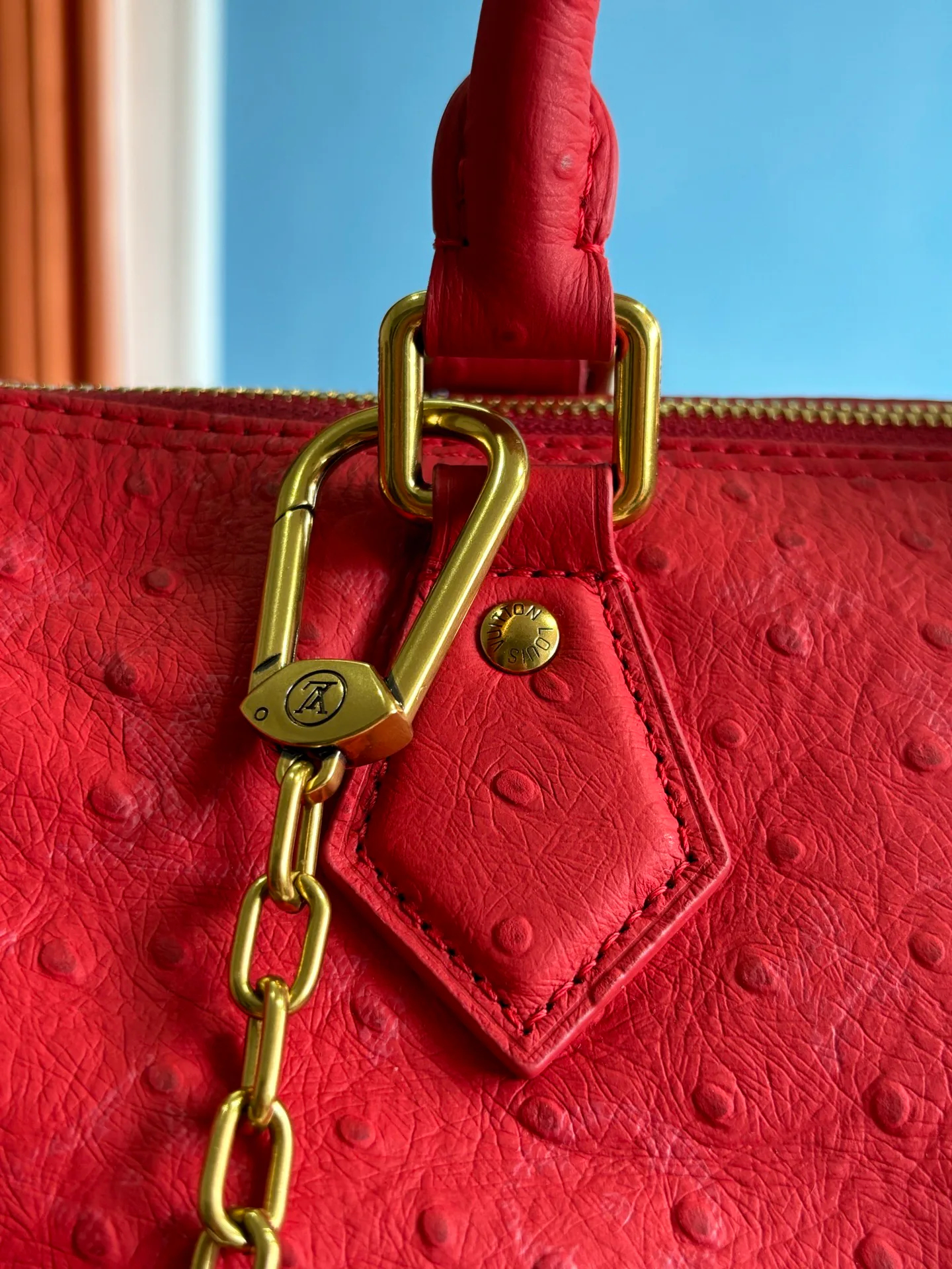 Women's Classic Handbags LOUIS VUITTON 17843666