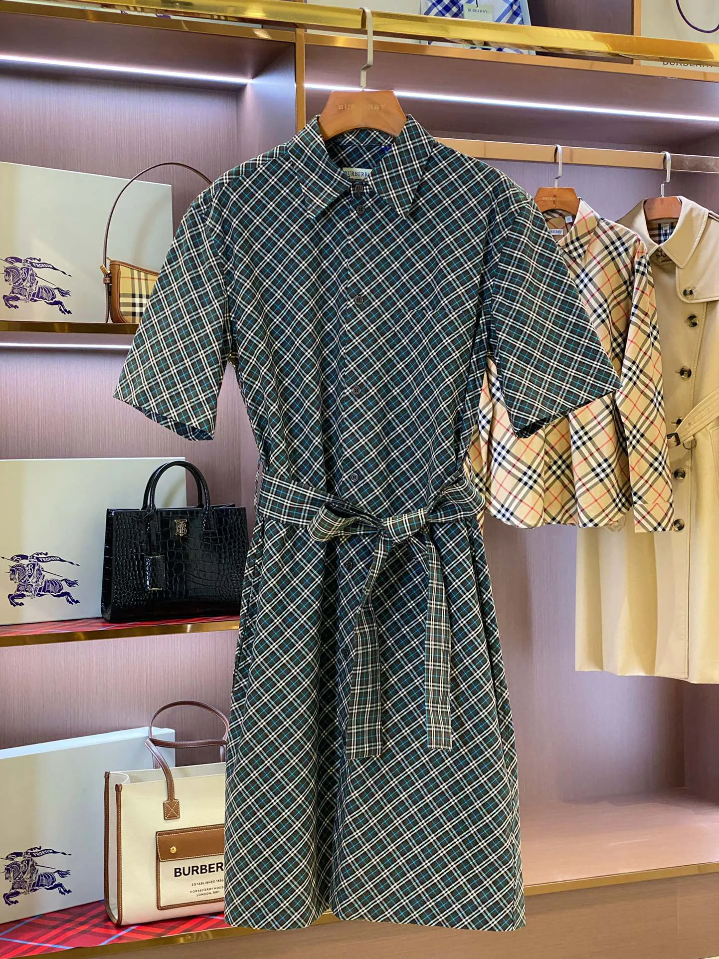 Women's Dresses BURBERRY 17361099