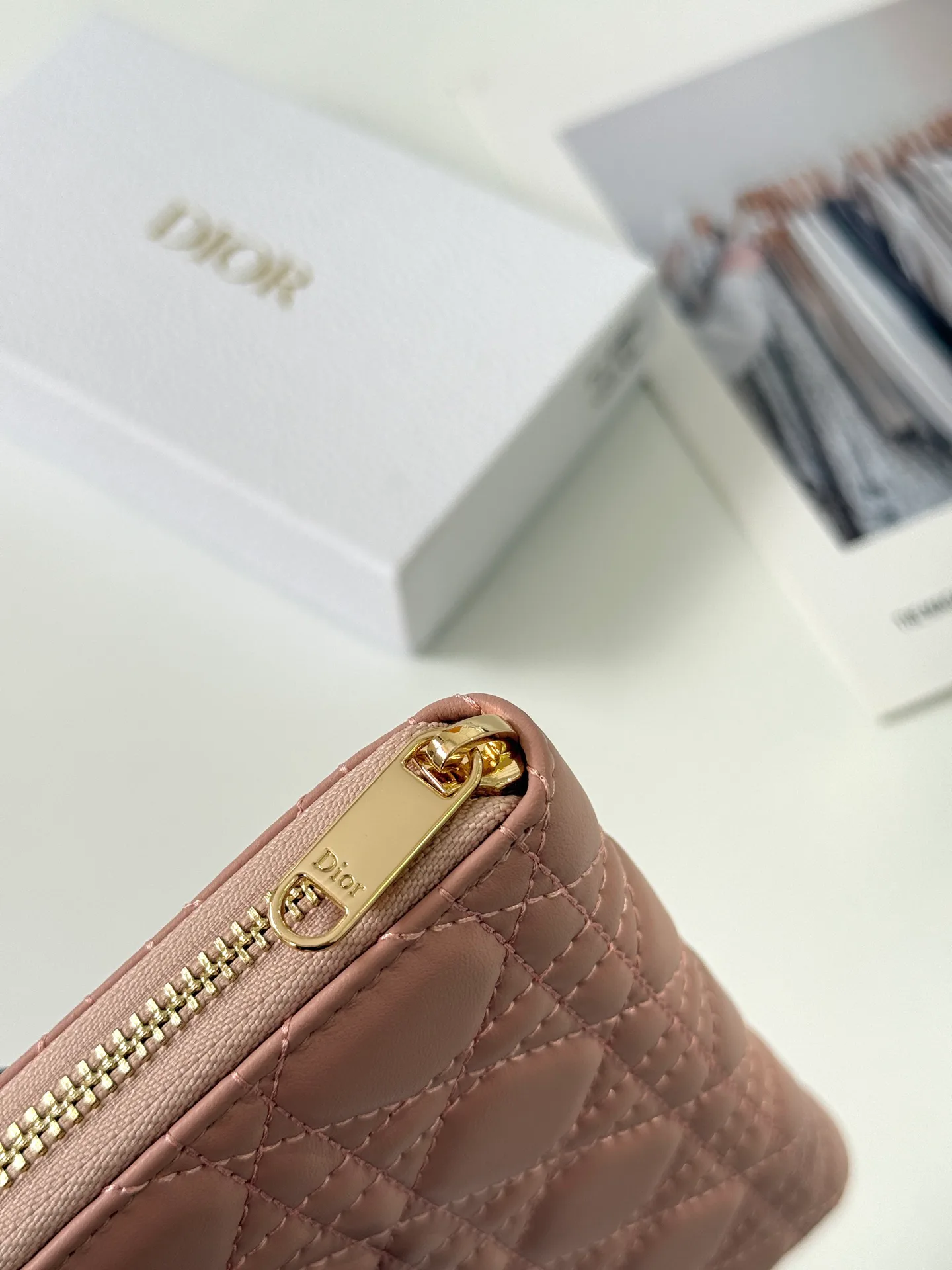 Women's Clutches CHRISTIAN DIOR 17447422