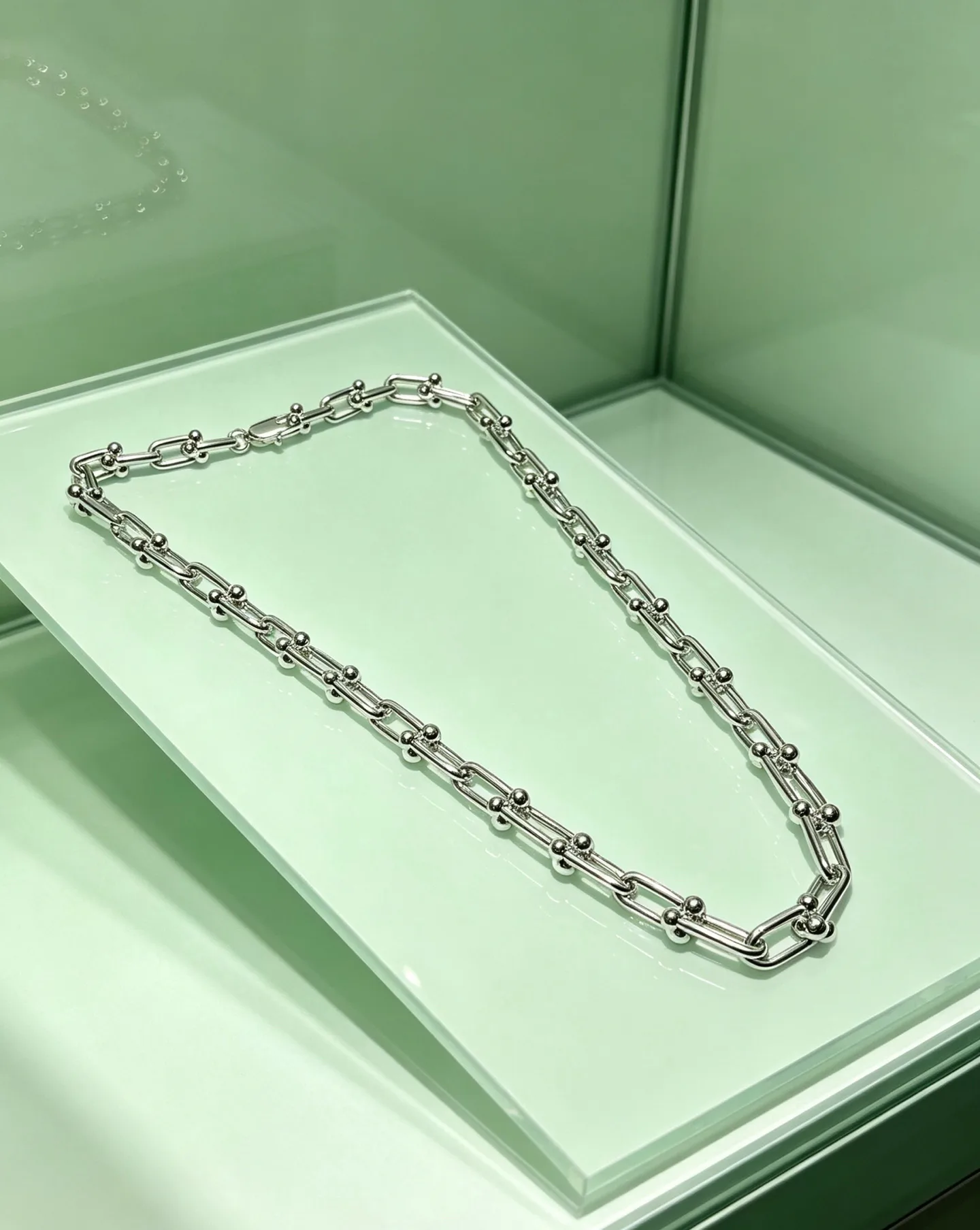 Jewelry TIFFANY 17173410