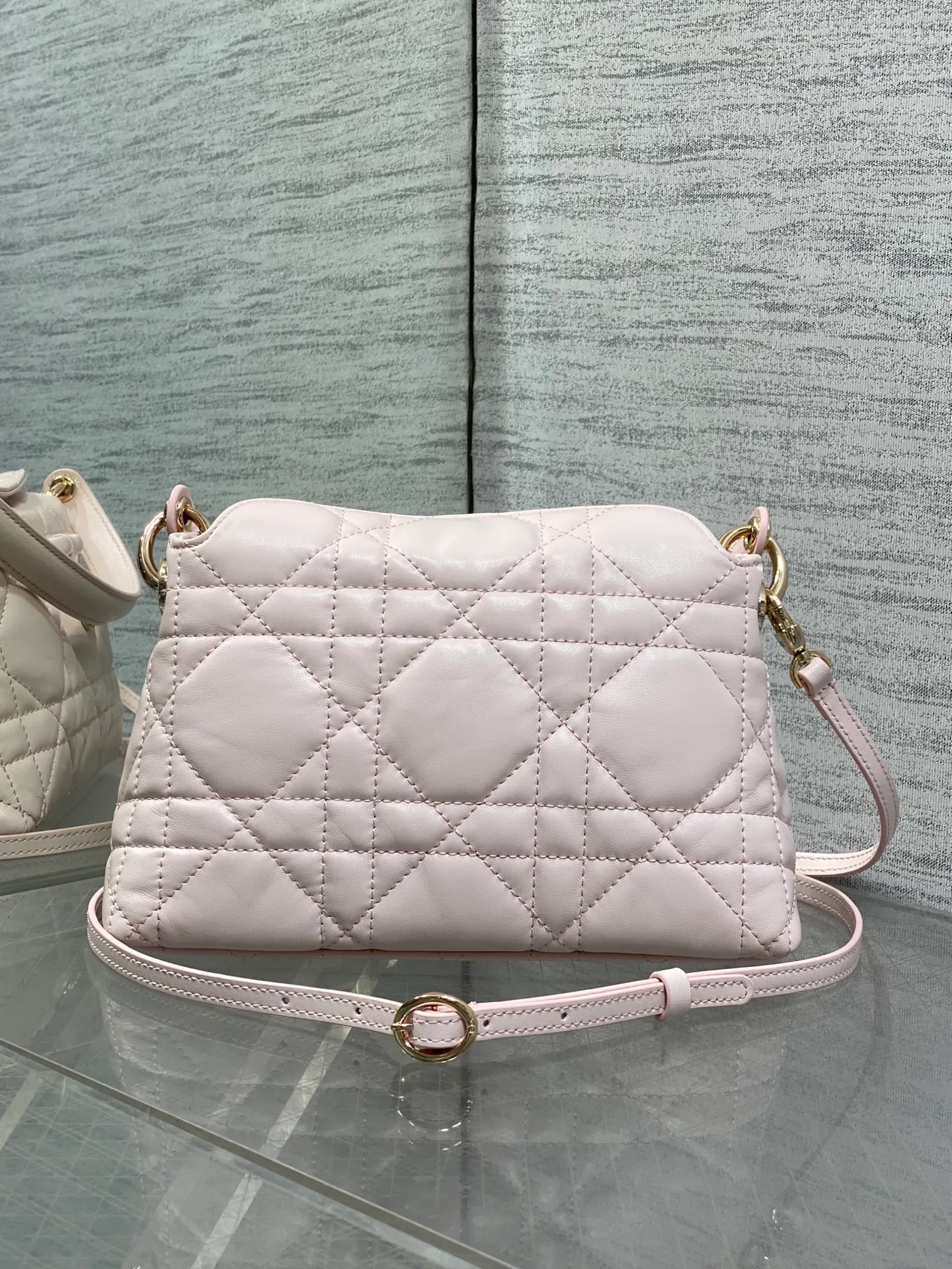 Women's Classic Handbags CHRISTIAN DIOR 18341390