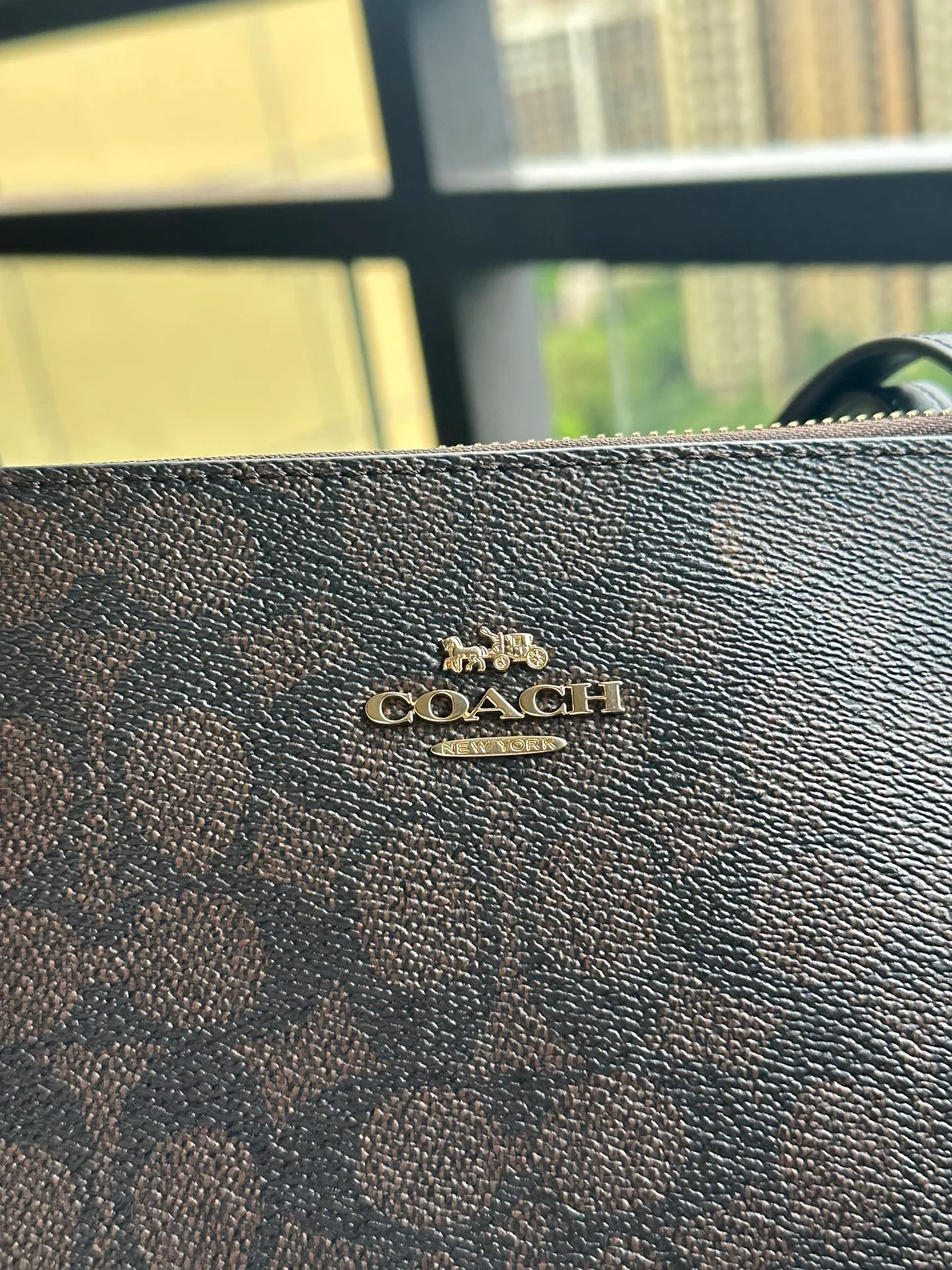 Women's Classic Handbags COACH 17961086