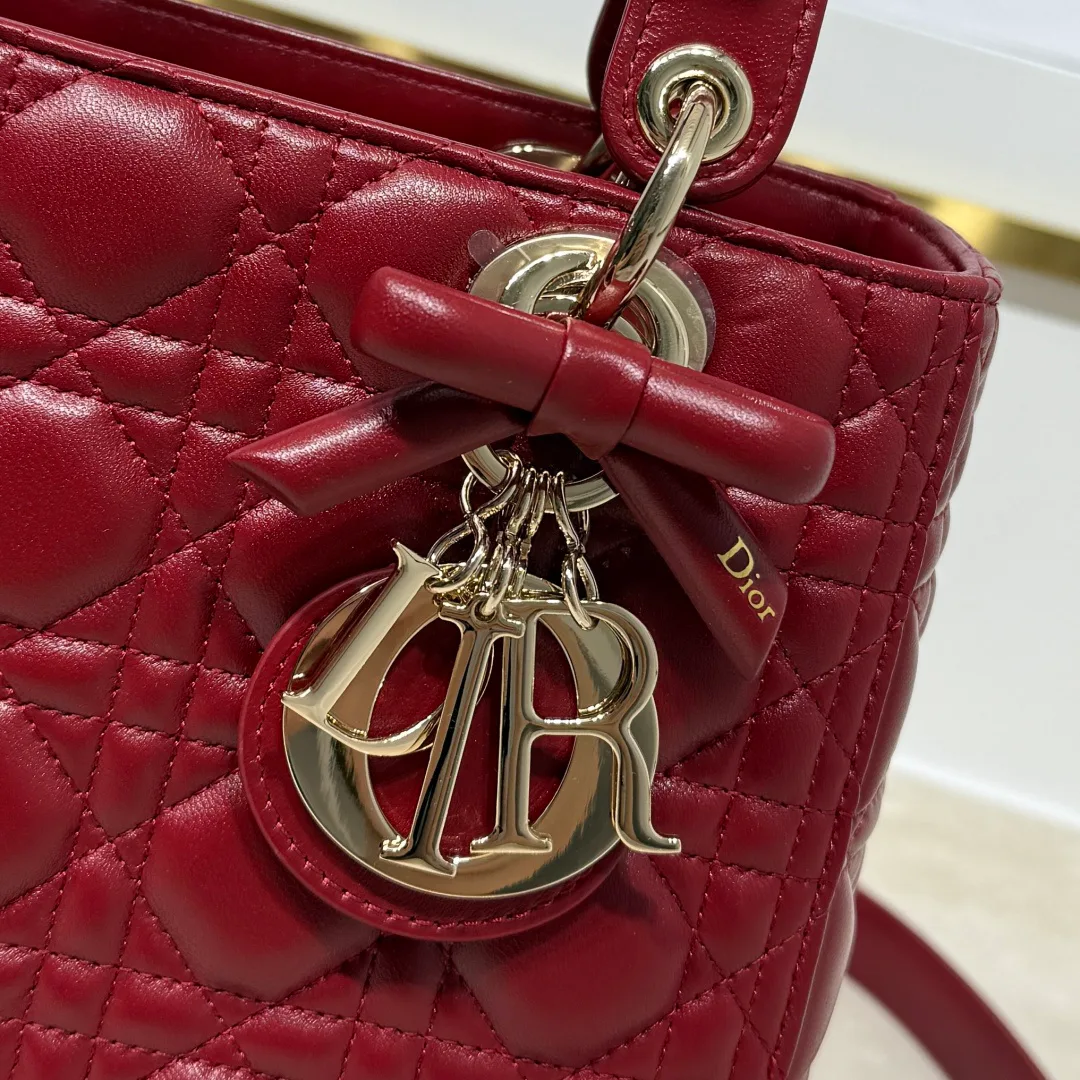 Women's Classic Handbags CHRISTIAN DIOR 17820248