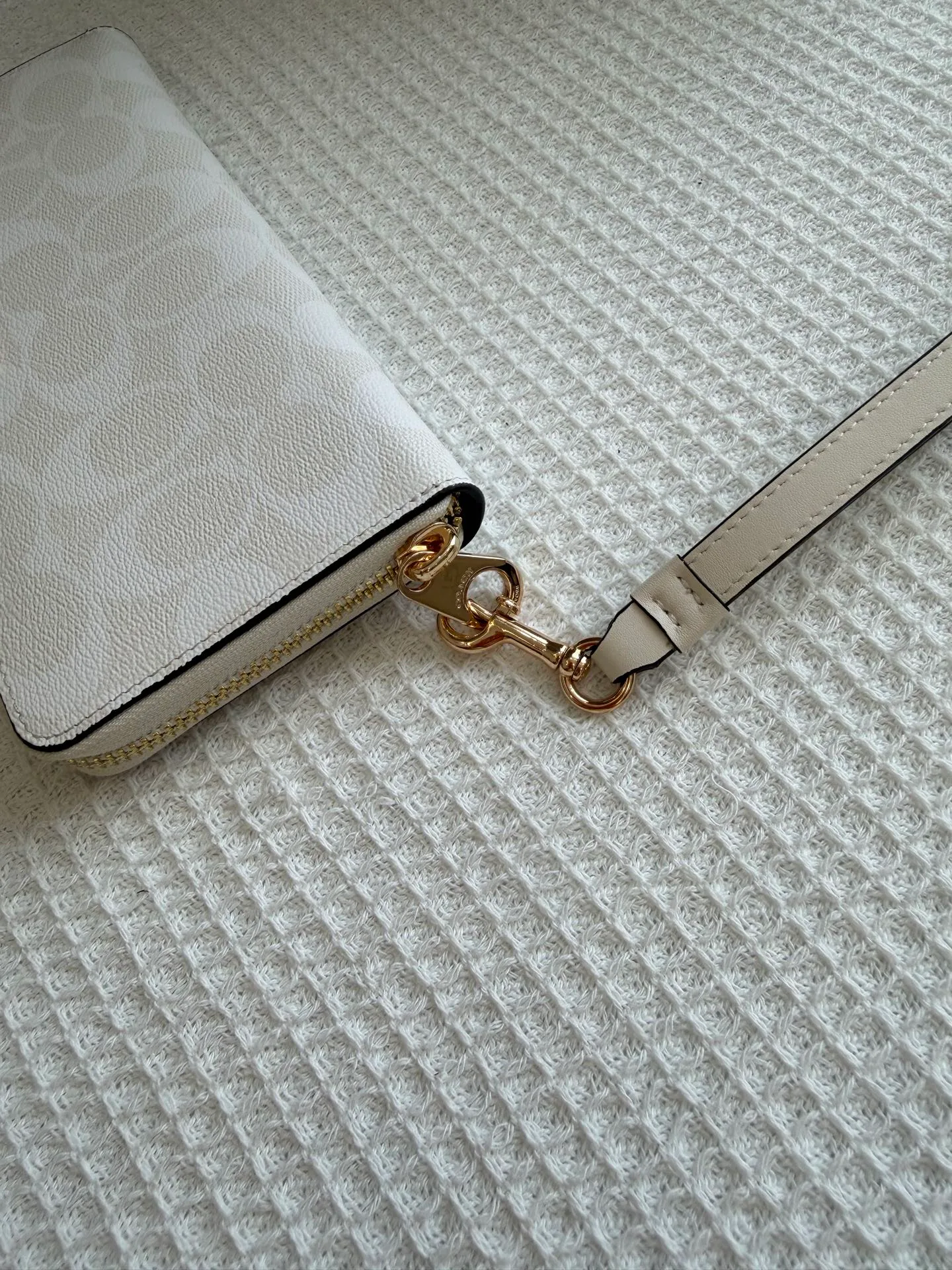 Women's Clutches COACH 18364949
